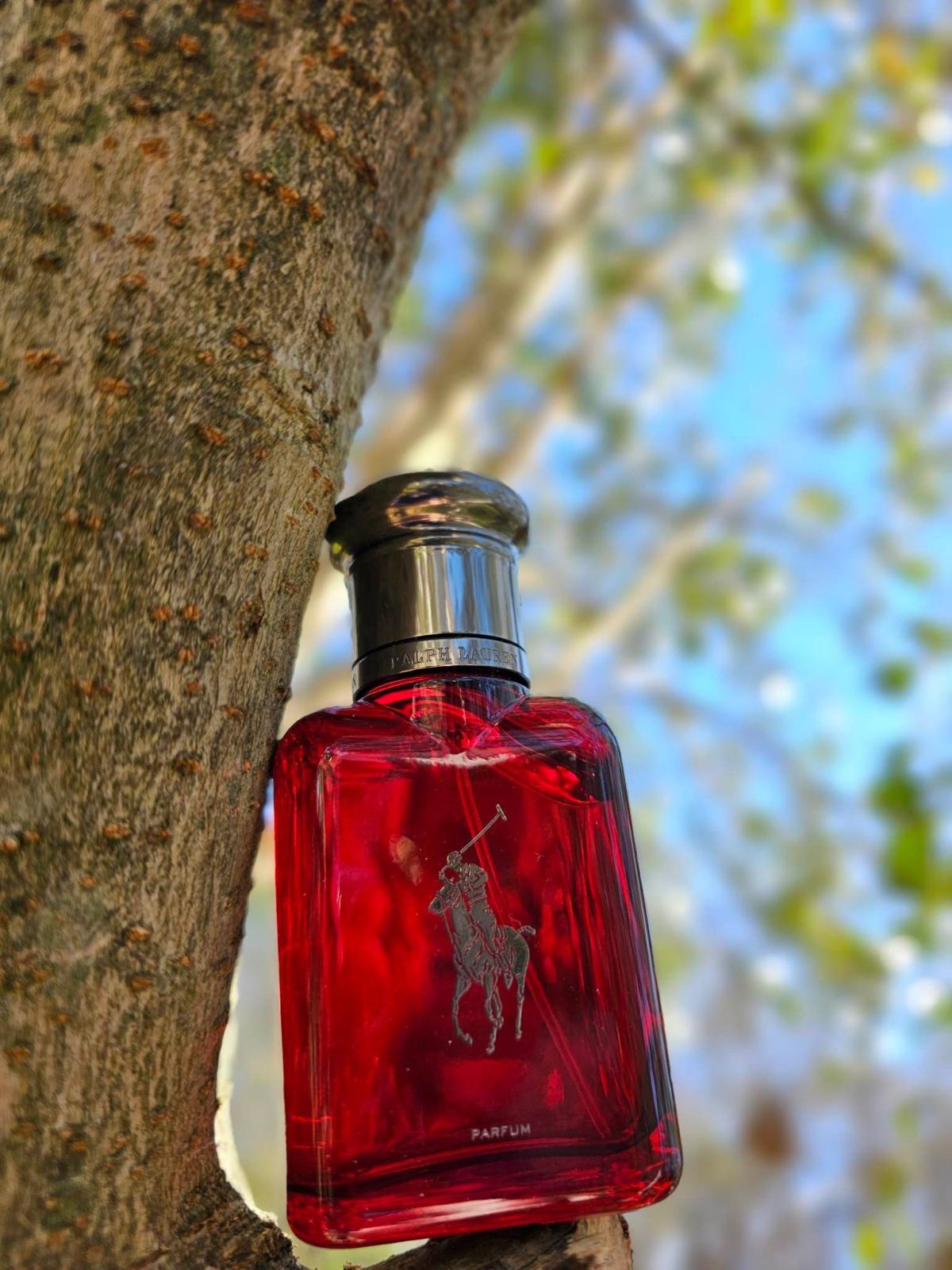 Polo Red Parfum Ralph Lauren Cologne un nouveau parfum pour homme 2023