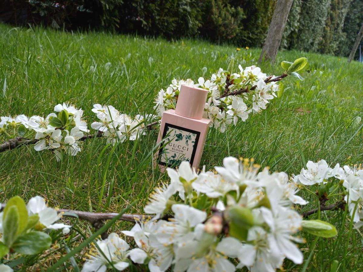 gucci bloom acqua di fiori que olor tiene