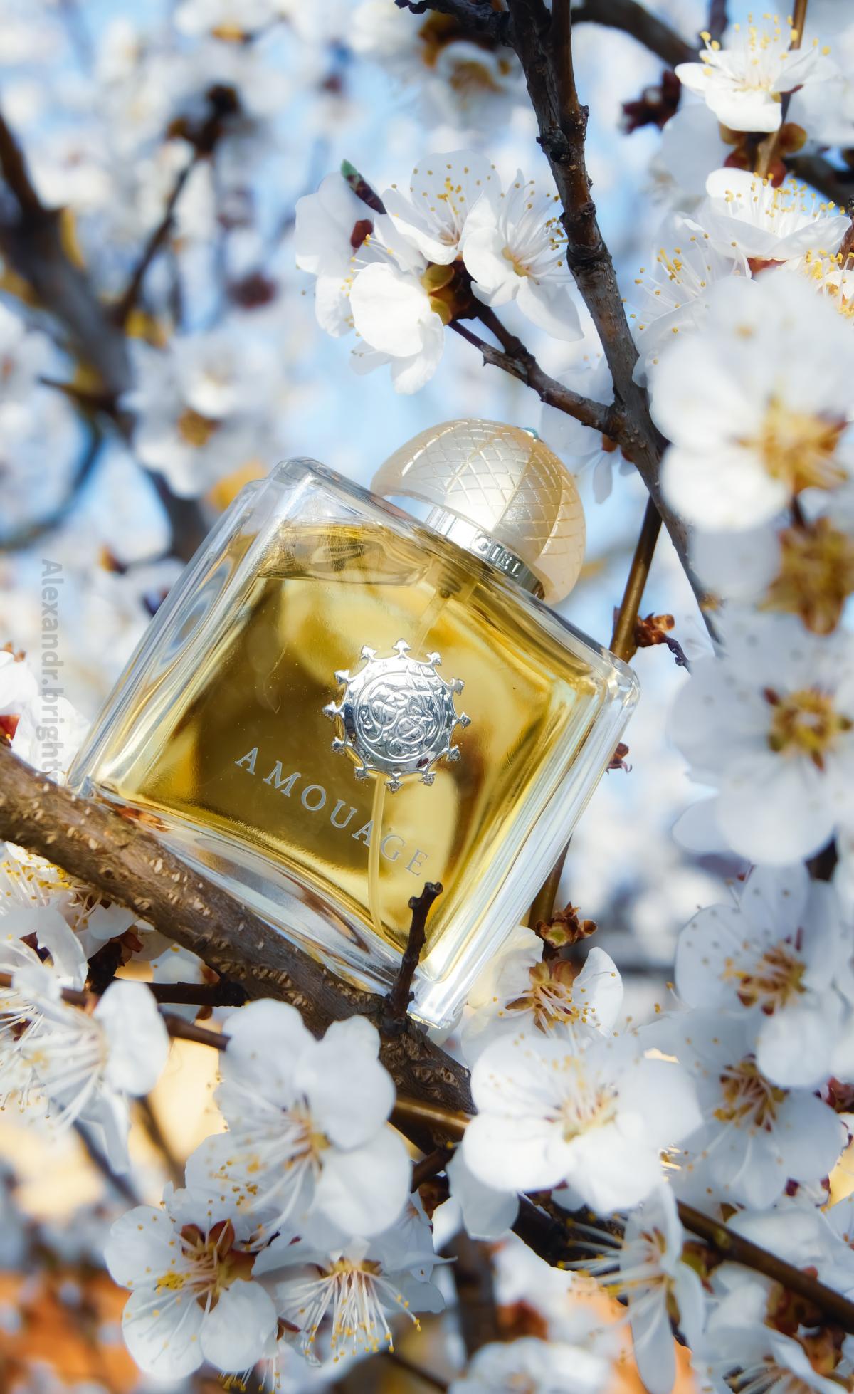 Ciel Pour Femme Amouage parfem - parfem za žene 2003