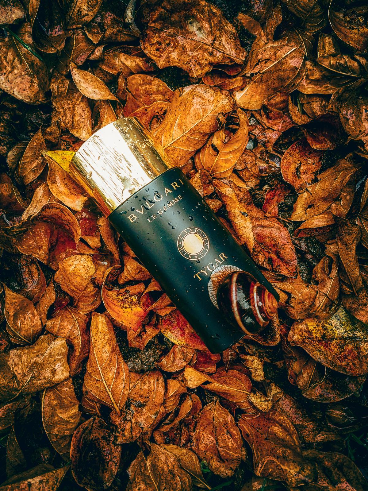 Tygar Bvlgari Kolonjska voda - parfem za muškarce 2016