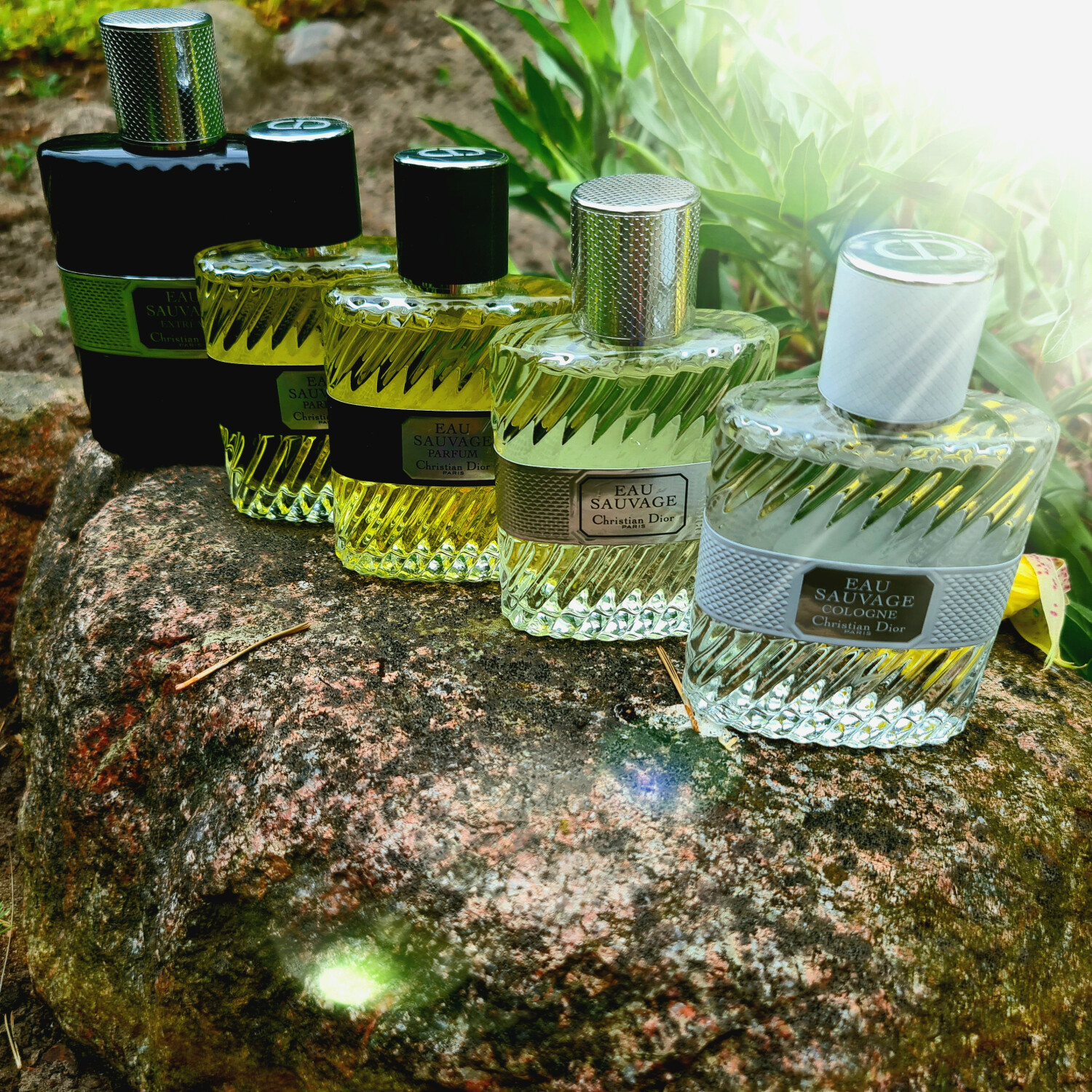 Eau Sauvage Cologne Dior Colônia a fragrância Masculino 2015