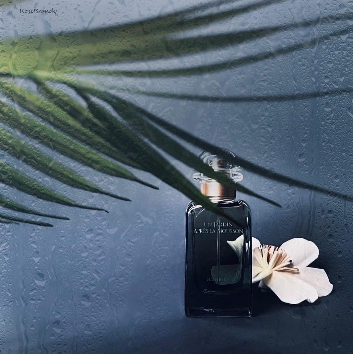 Un Jardin Apres la Mousson Hermès fragancia una fragancia para
