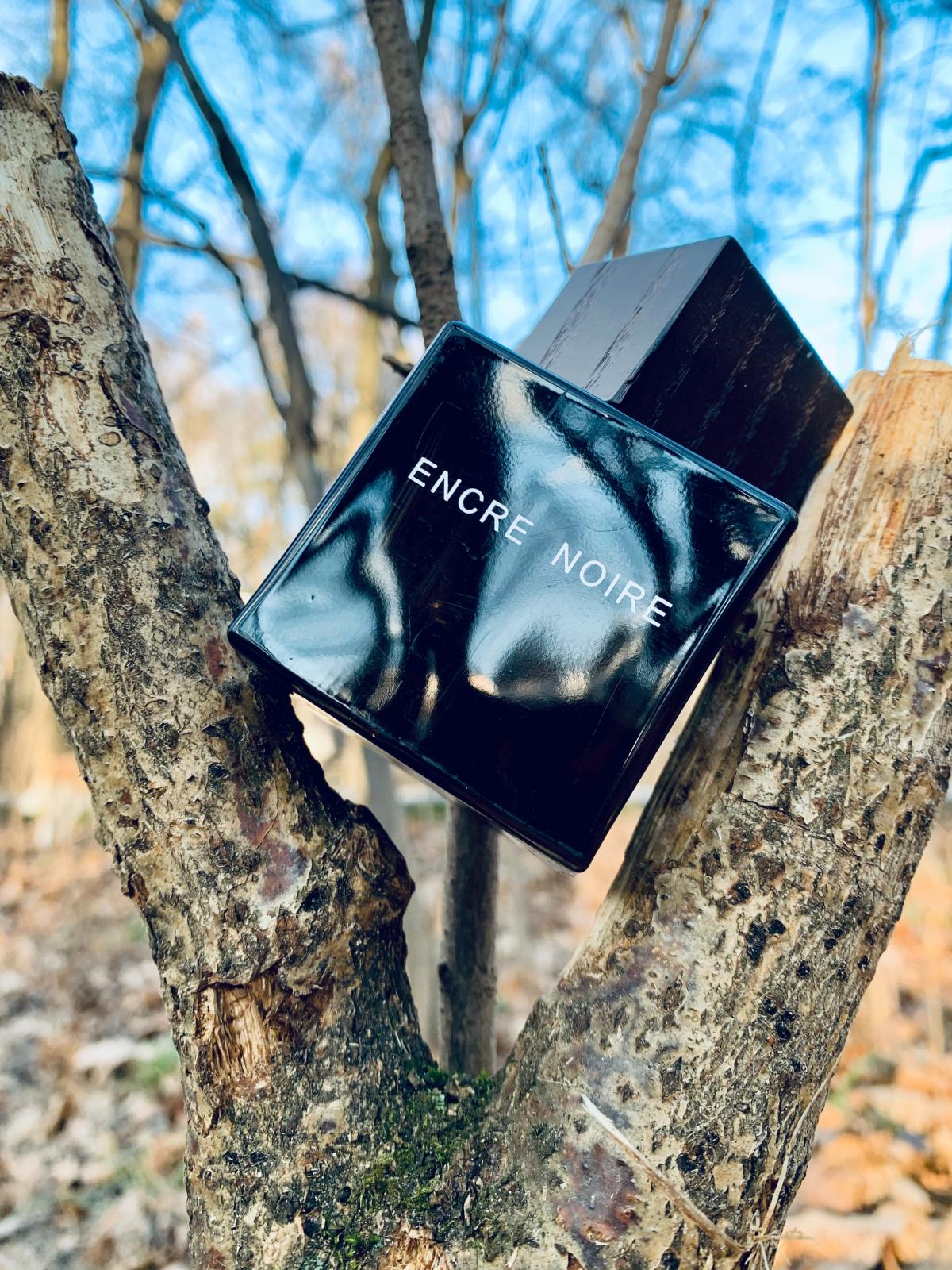 Encre Noire Lalique одеколон — аромат для мужчин 2006