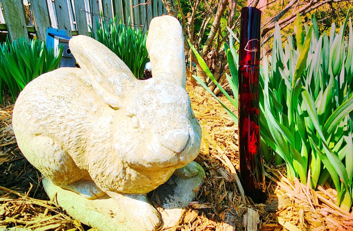 Flower by Kenzo L'Elixir Kenzo parfem parfem za žene 2015