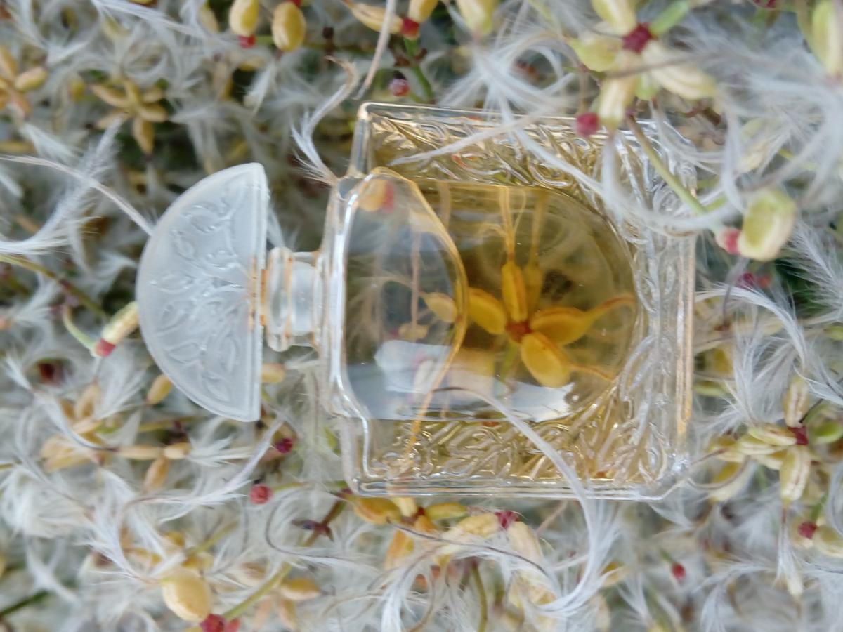 Lalique Lalique аромат — аромат для женщин 1992