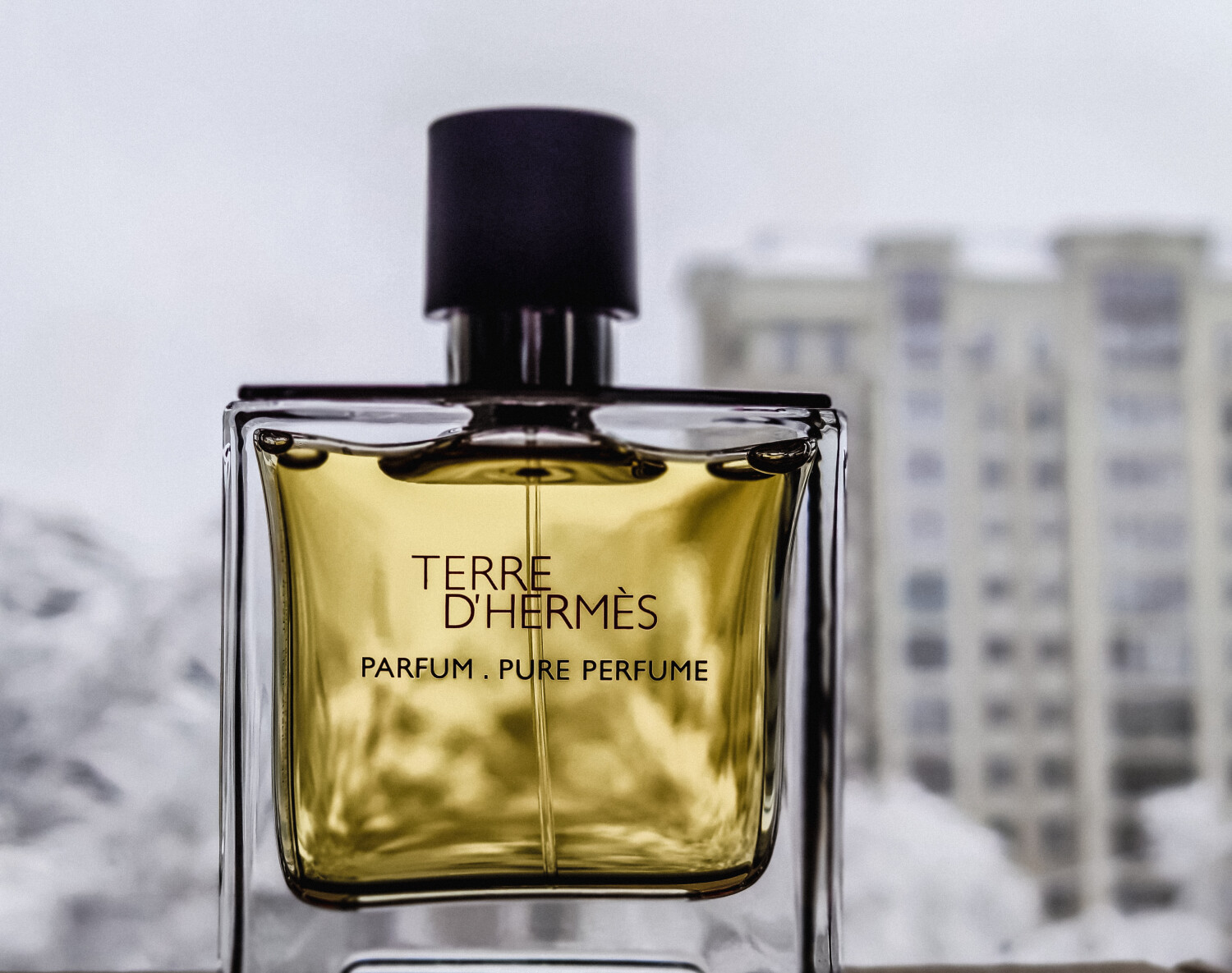 Terre d'Hermes Parfum Hermès Cologne - un parfum pour homme 2009