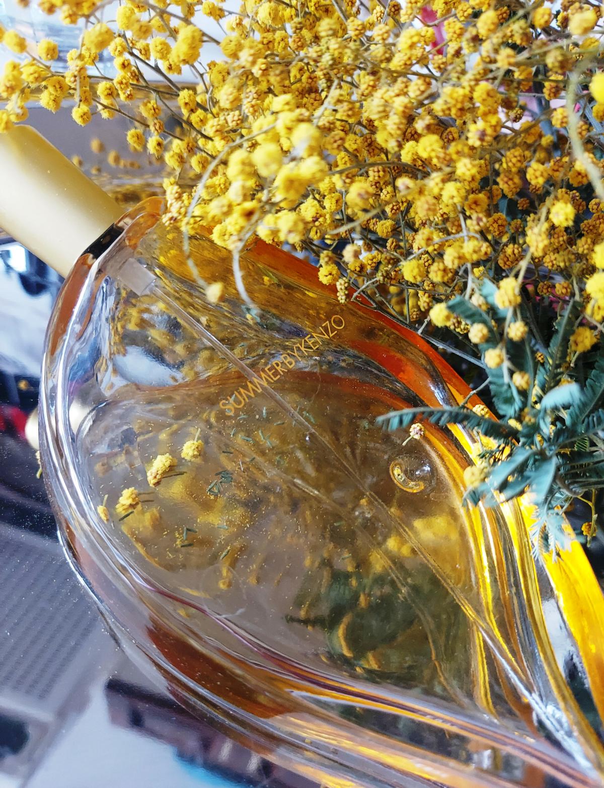 Summer by Kenzo Kenzo perfume a fragrância Feminino 2005