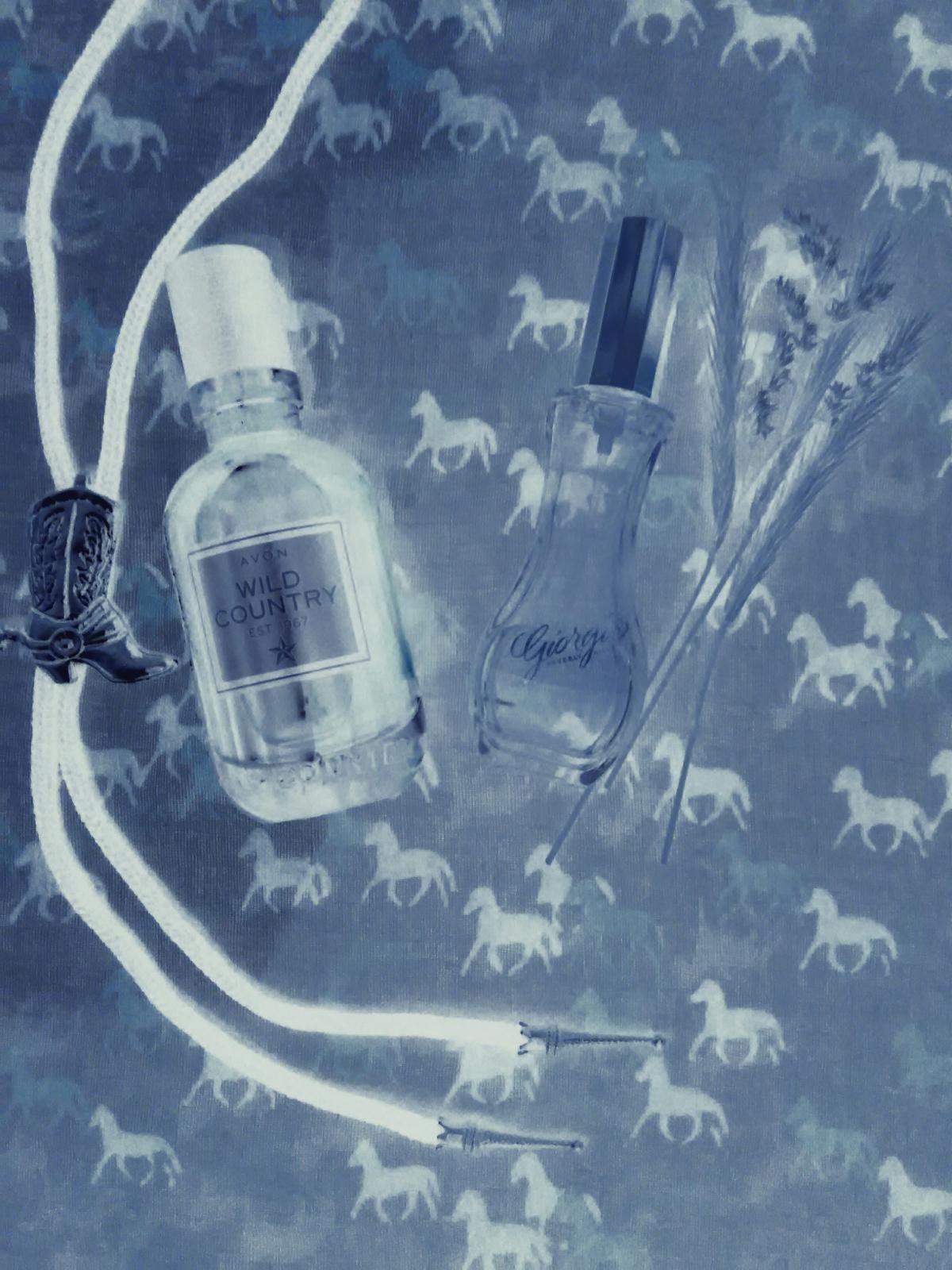 Wild Country Avon Cologne - ein es Parfum für Männer 1967