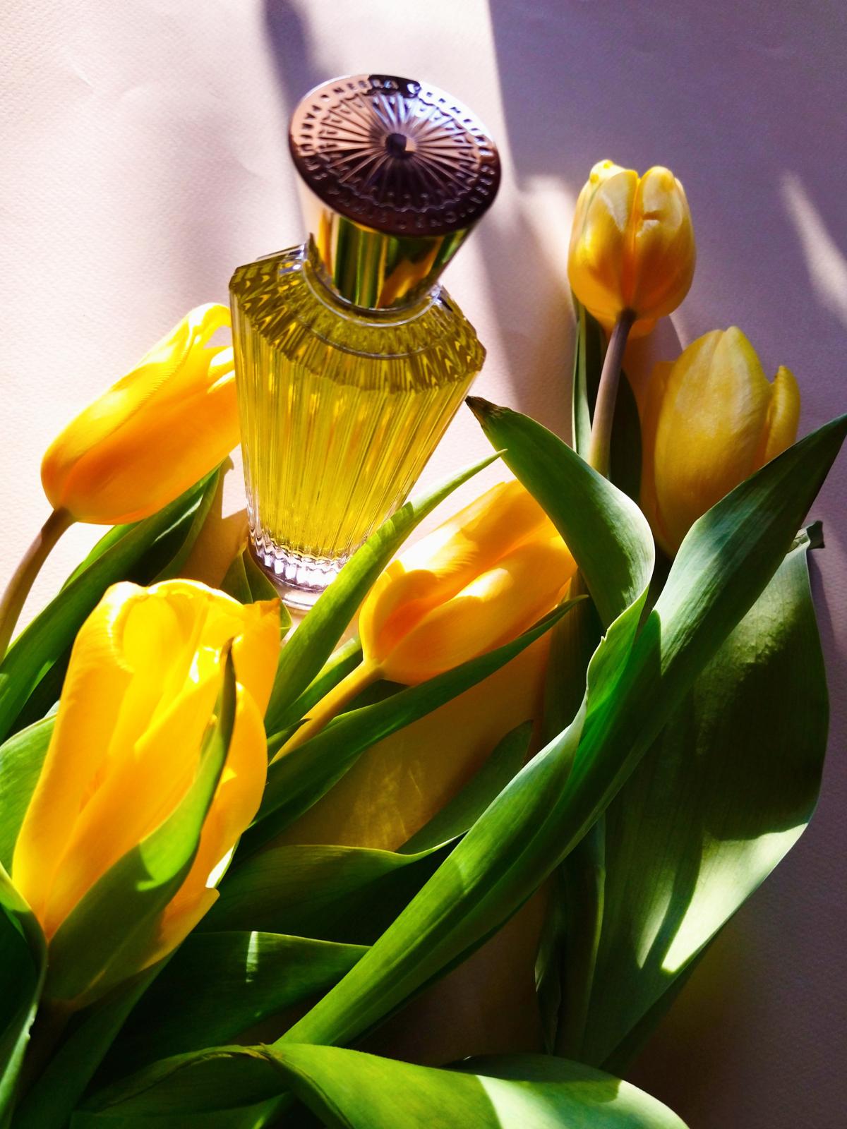 Ashoka Neela Vermeire Creations аромат — аромат для мужчин и женщин 2013