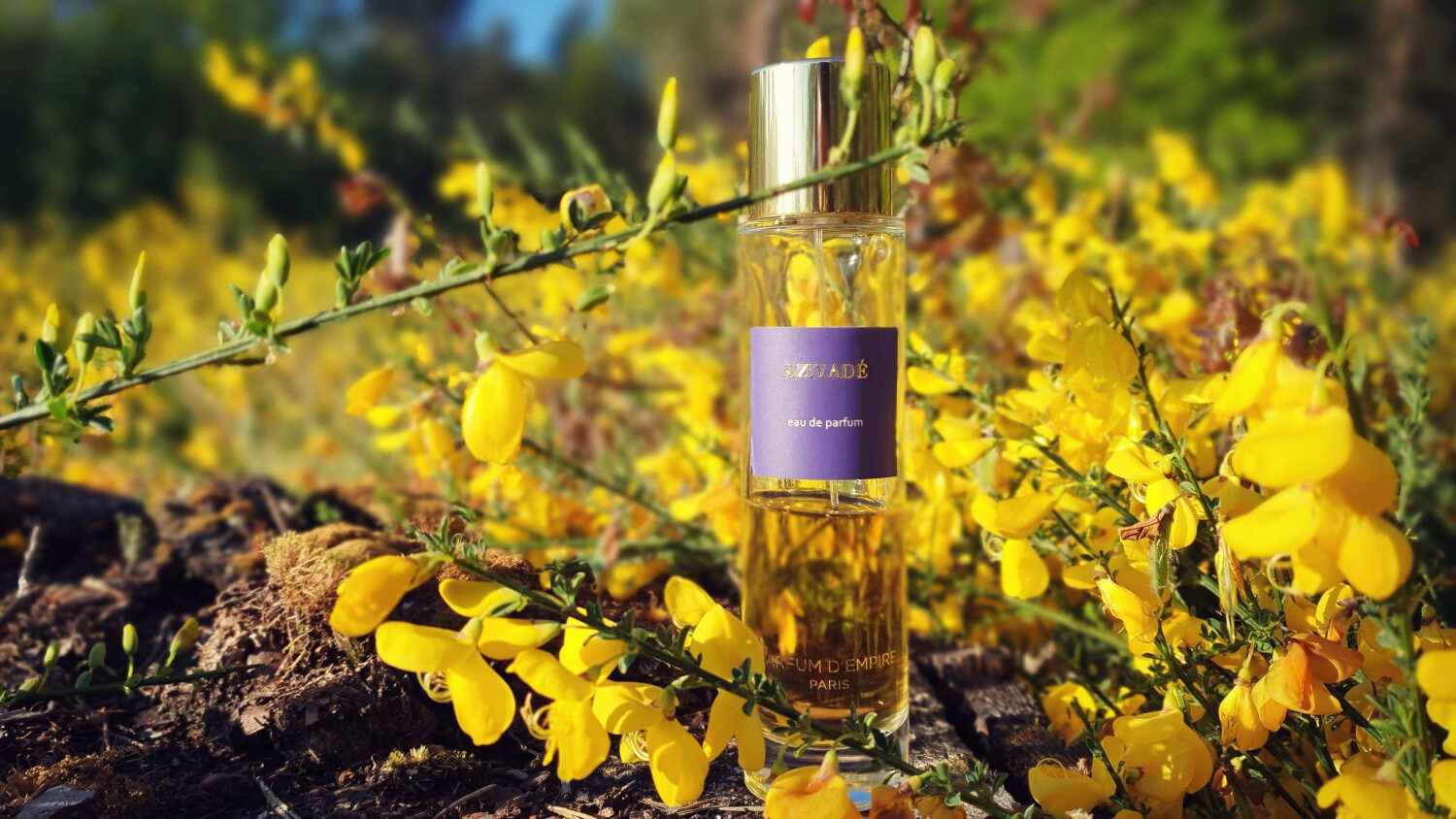Aziyade Parfum d'Empire Parfum - ein es Parfum für Frauen und Männer 2008