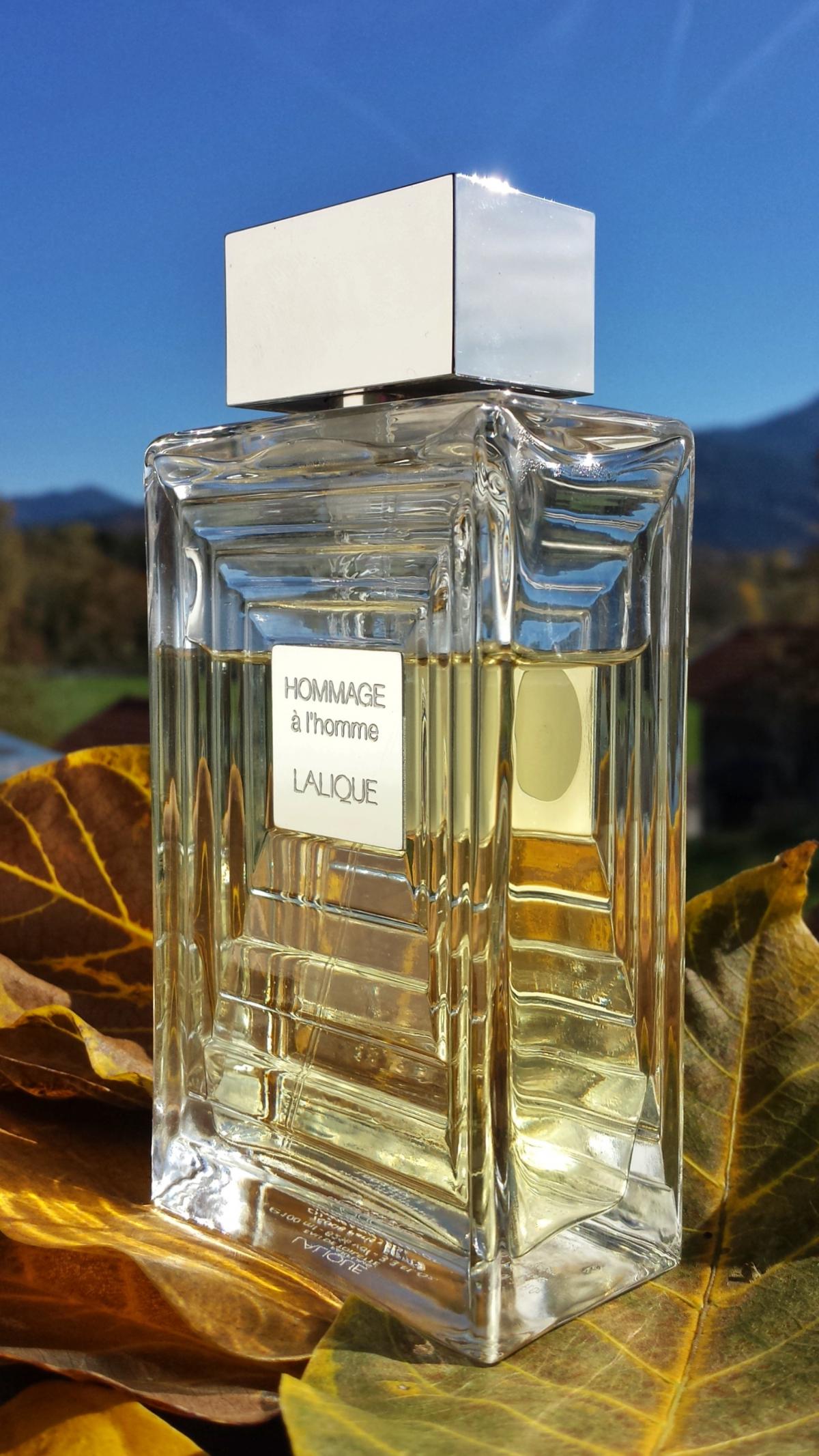 Hommage L Homme Eau De Toilette Lalique Cologne Ein Es Parfum F R