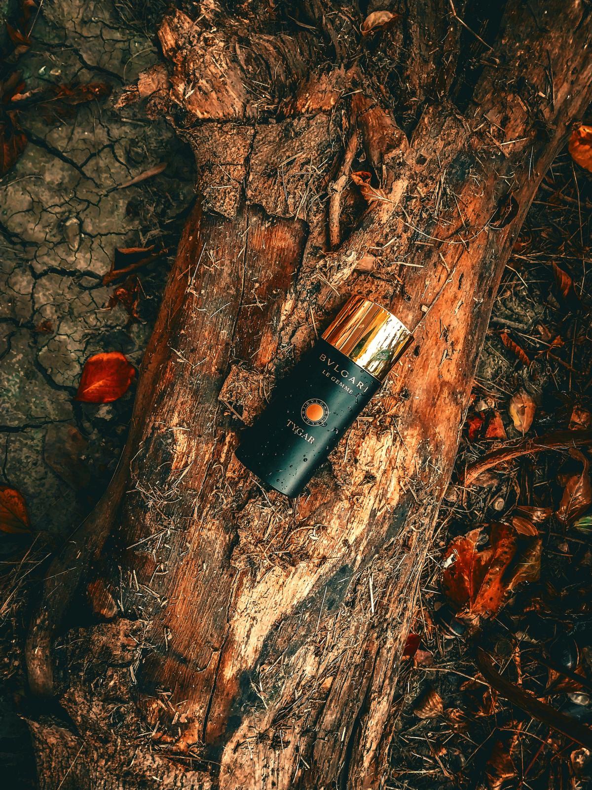 Tygar Bvlgari Kolonjska voda - parfem za muškarce 2016