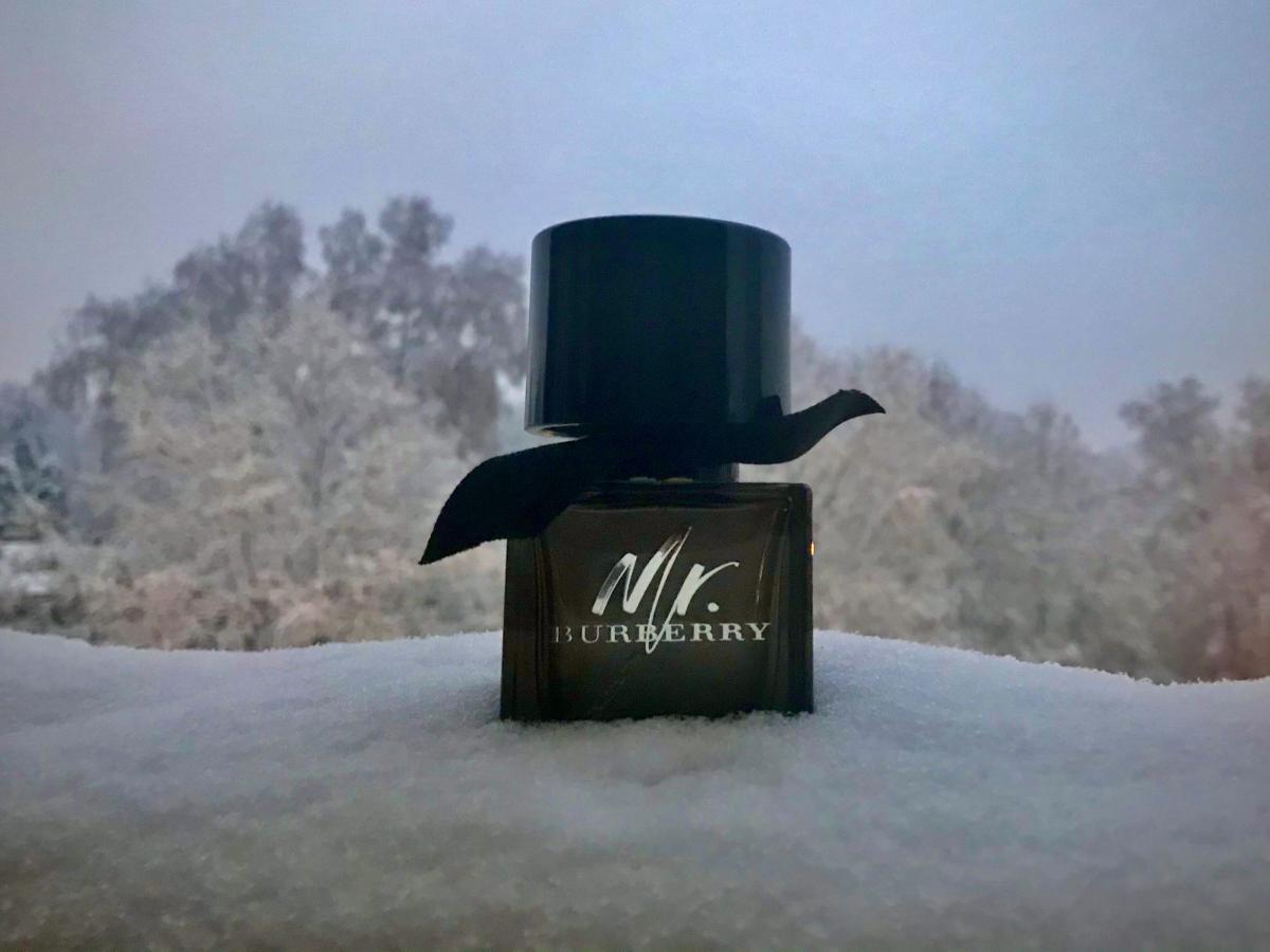 mr burberry homme