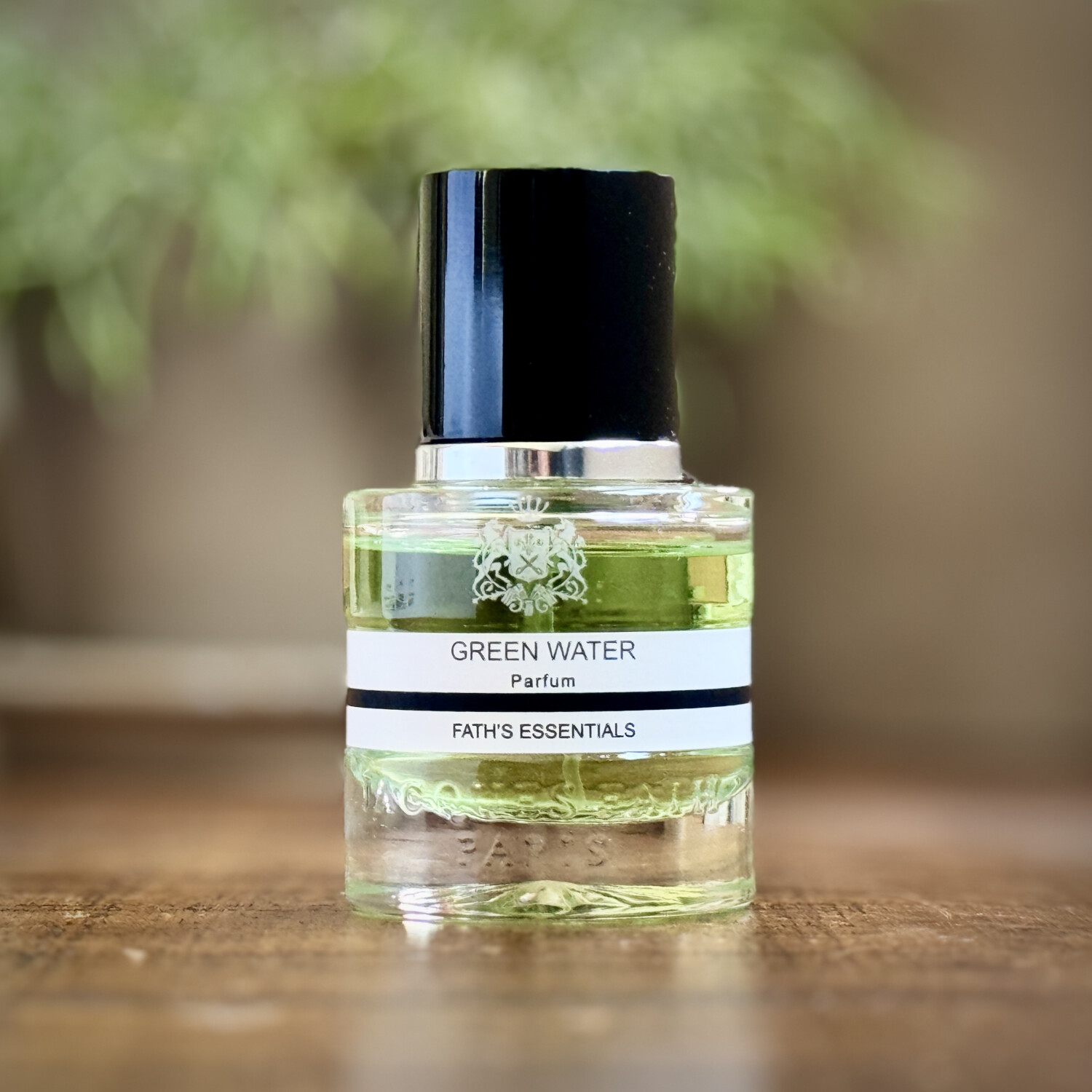 Jacques Fath Green Water Herrenduft – Parfum Spray, 50 Ml, Frisch-würziger Duft