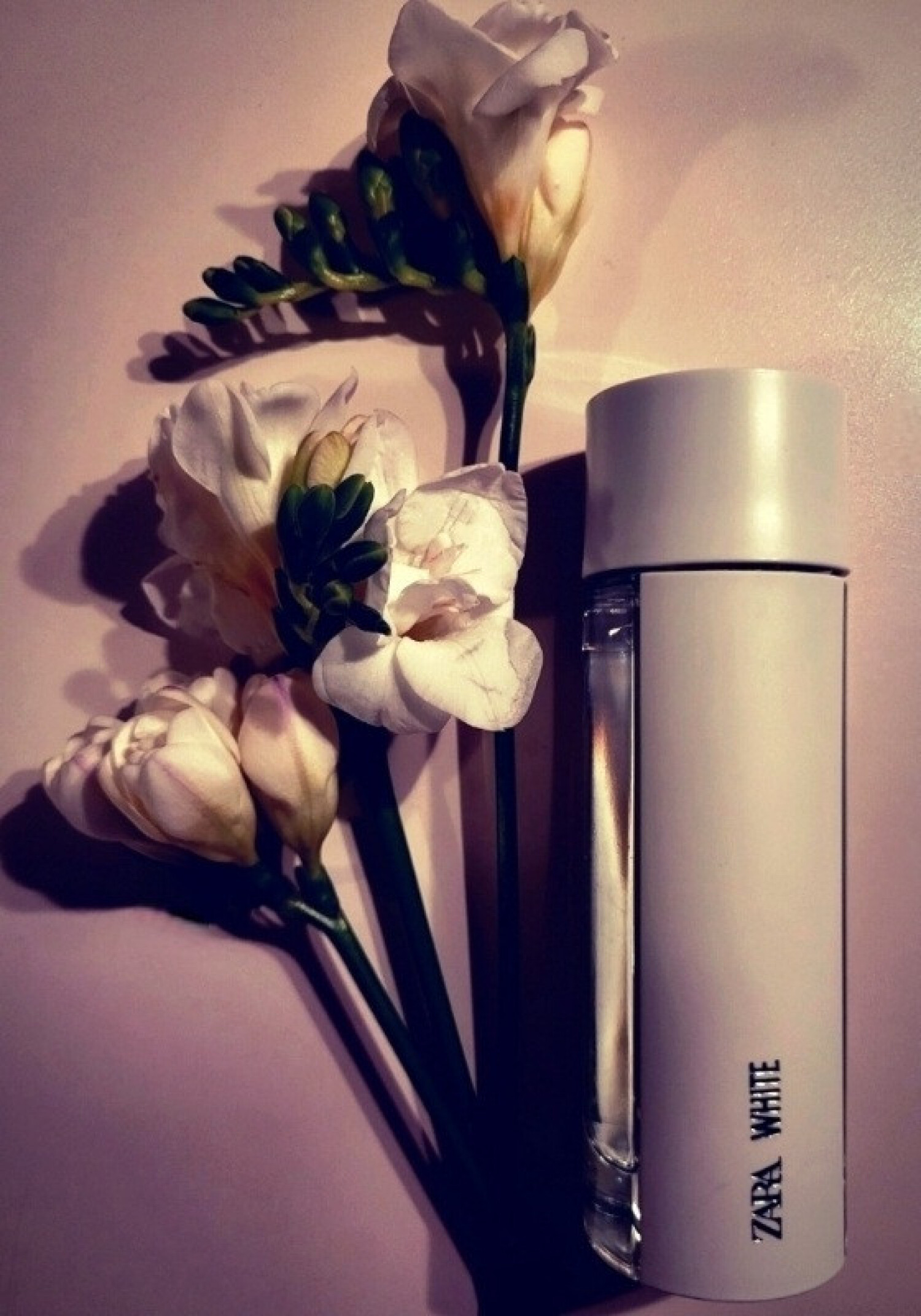 Zara White Eau de Toilette Zara una fragranza da donna 2020