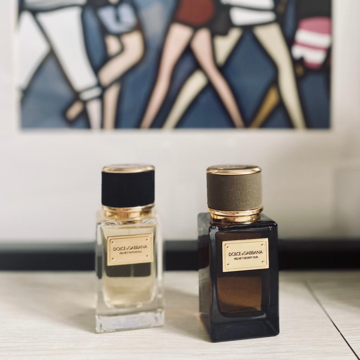 Velvet Desert Oud Dolce&Gabbana Parfum ein es Parfum für Frauen und