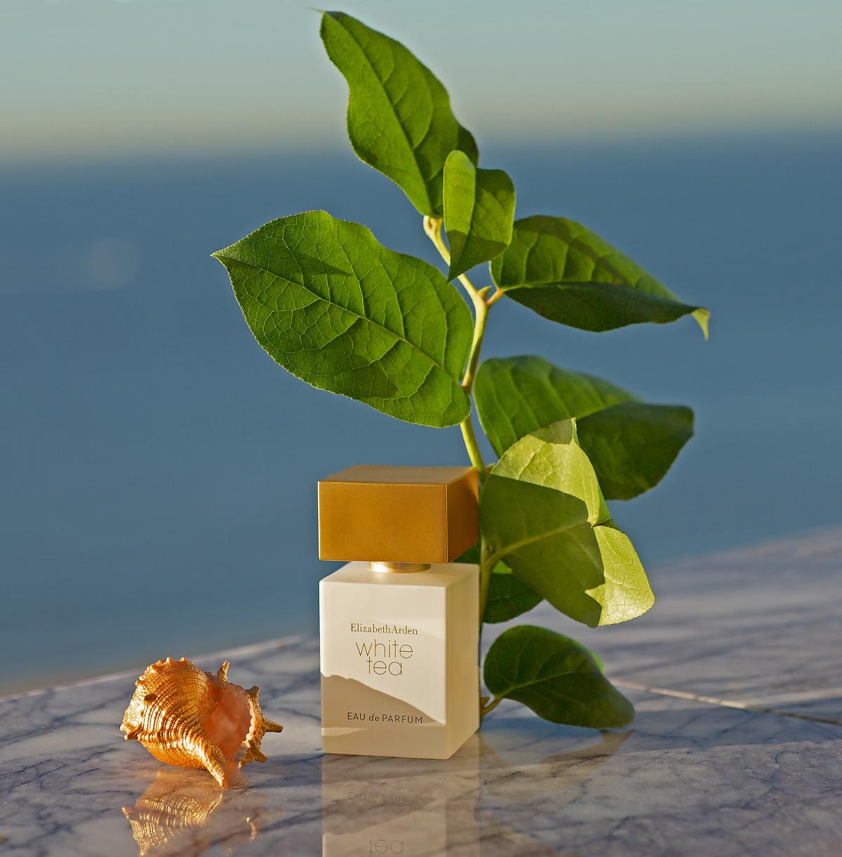 White Tea Eau de Parfum Elizabeth Arden parfem novi parfem za žene 2022