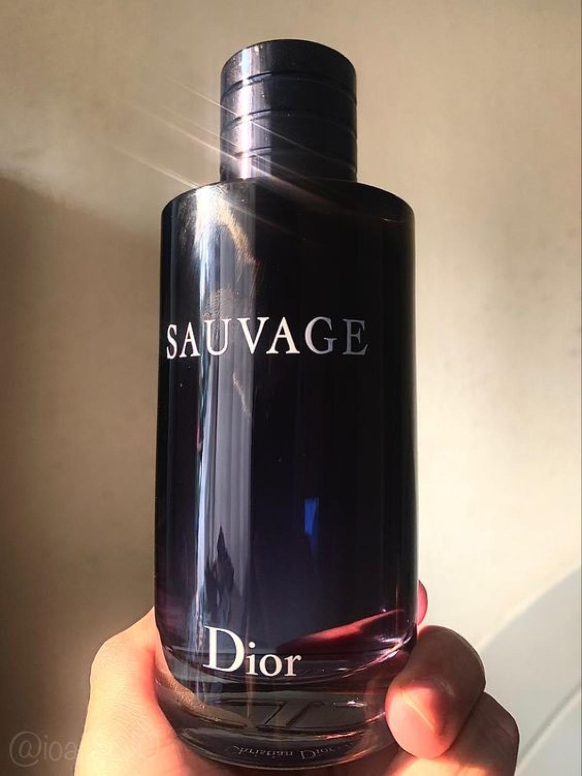 Sauvage Dior одеколон — аромат для мужчин 2015