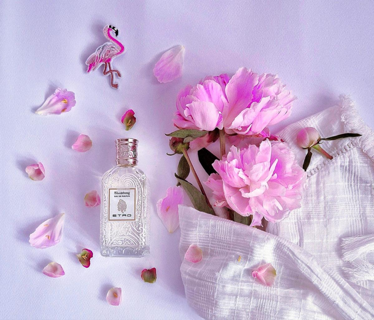 Etro Shantung by Etro
