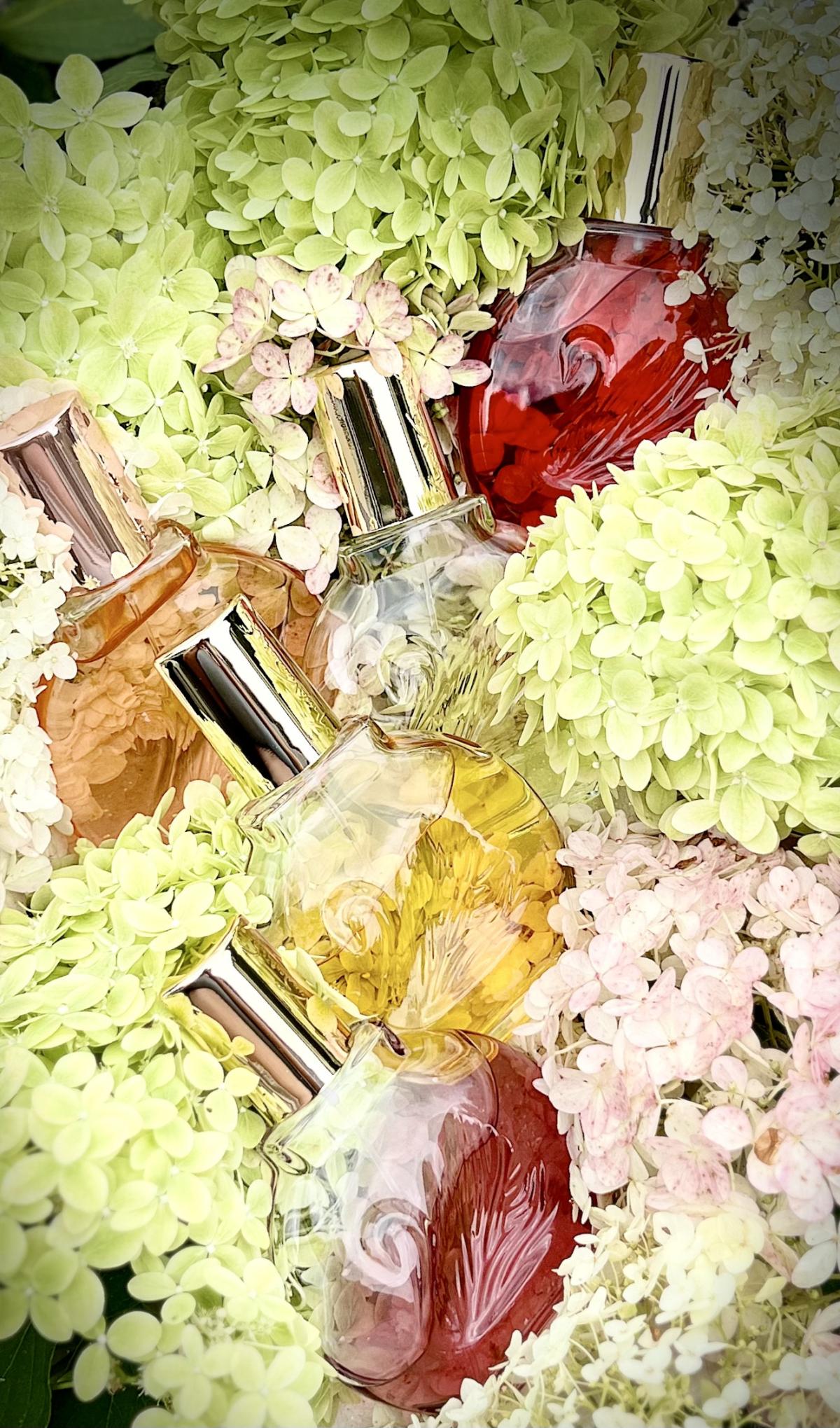 Miss Vanderbilt Gloria Vanderbilt Parfum - ein es Parfum für Frauen 2010