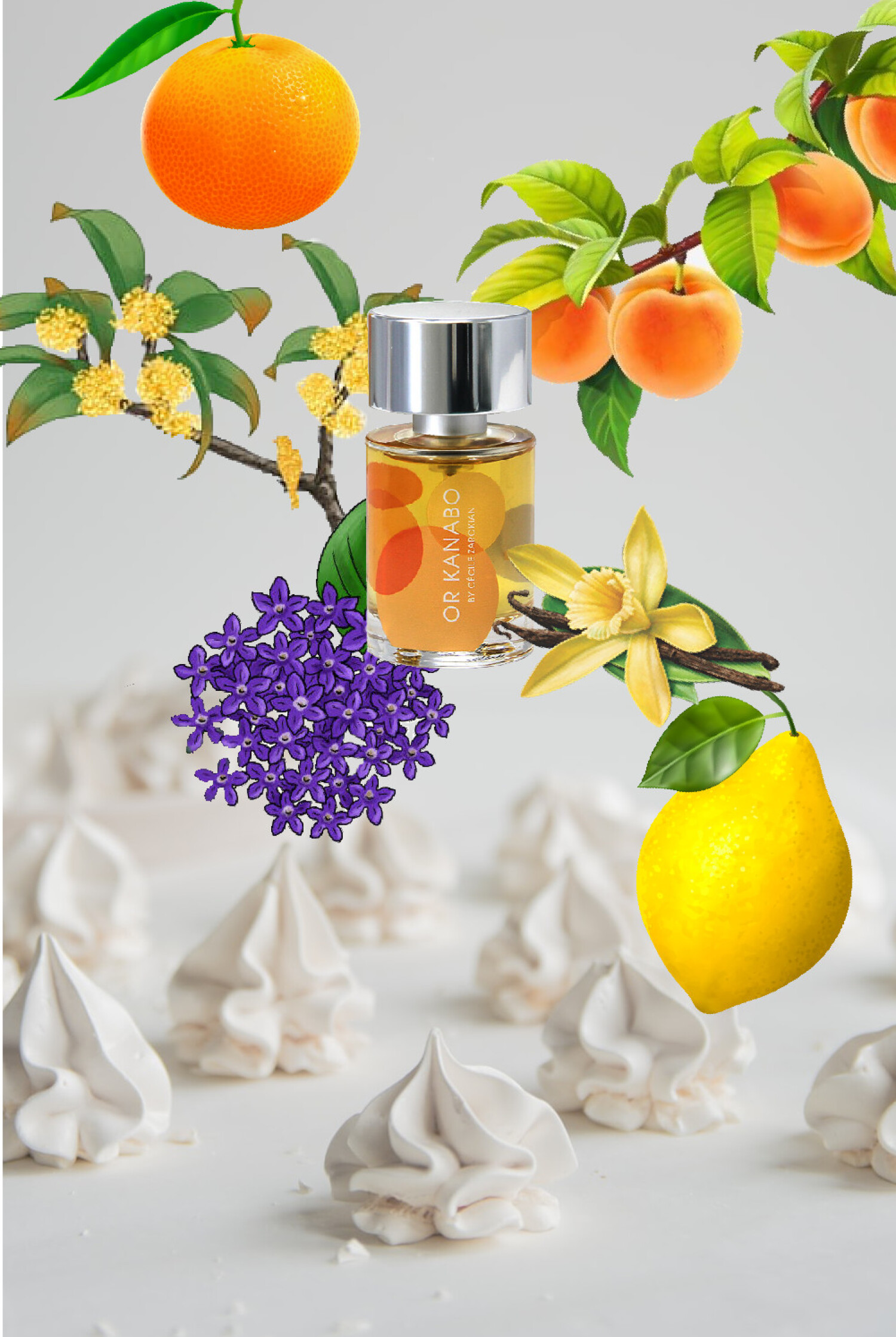 OR ± Kanabo UERMI عطر - a fragrance للجنسين 2017