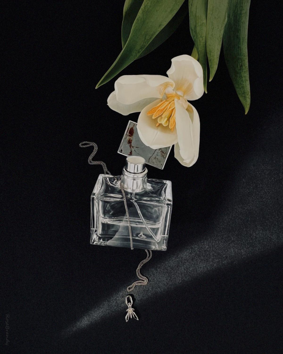 romance ralph lauren homme