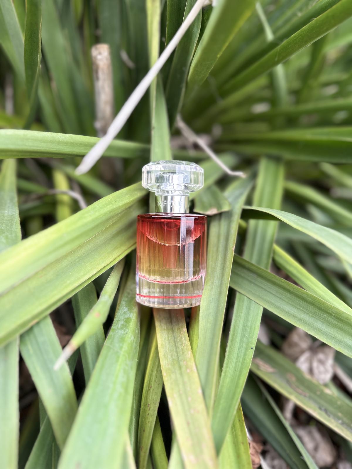 magnifique lancôme acheter