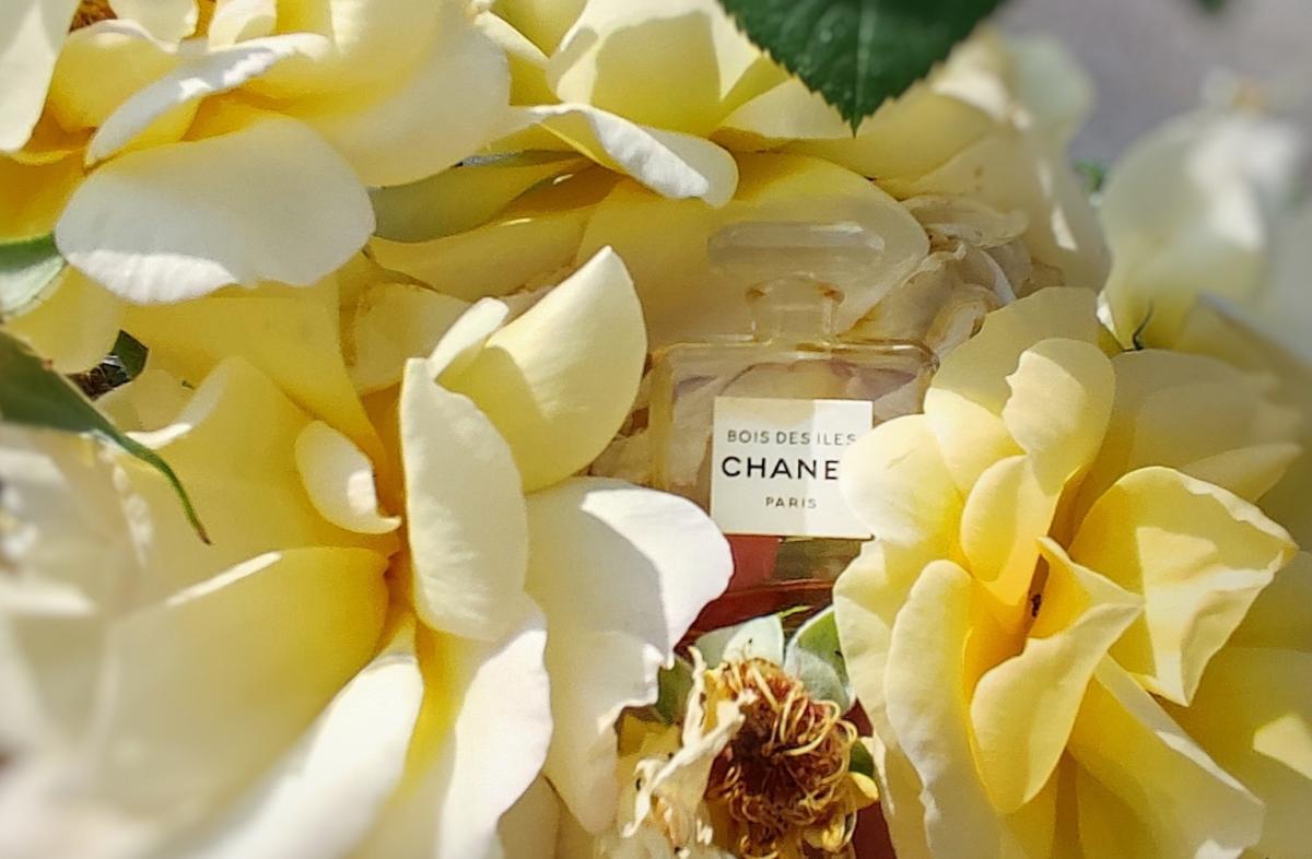 Bois Des Iles Parfum Chanel una fragranza unisex
