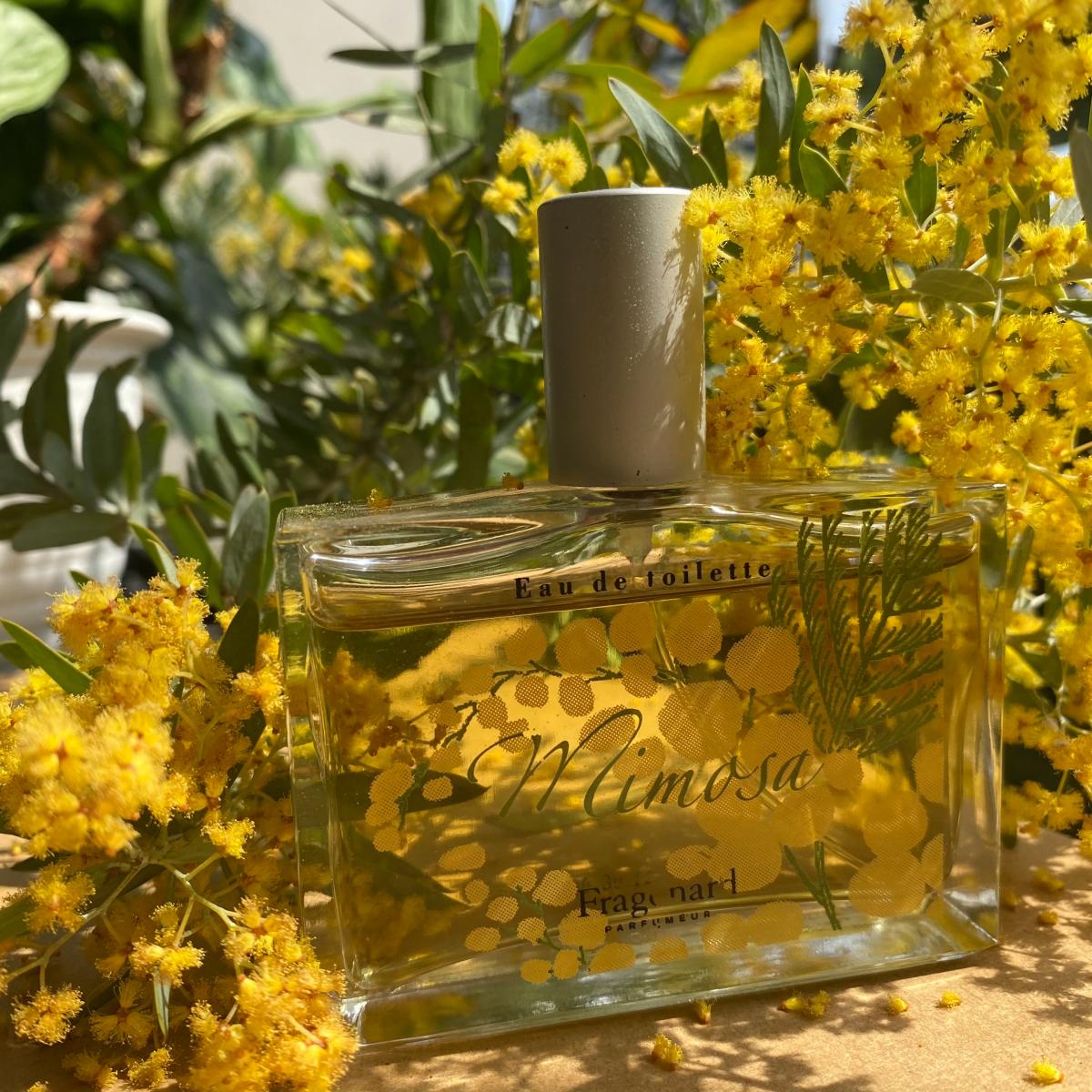 Mimosa Fragonard Parfum ein es Parfum für Frauen 2010