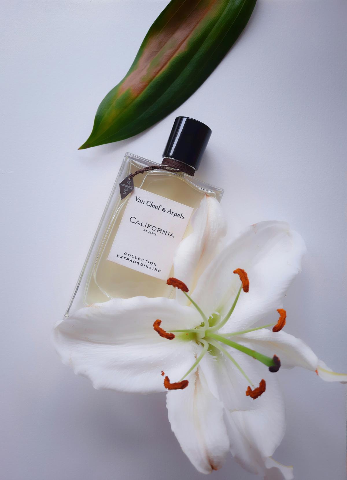 California Réverie Van Cleef & Arpels аромат — аромат для женщин 2014