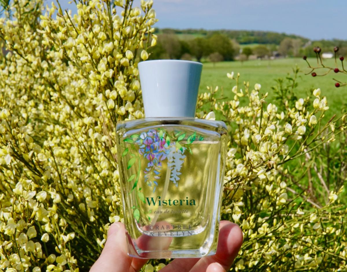 Crabtree and best sale evelyn wisteria perfume