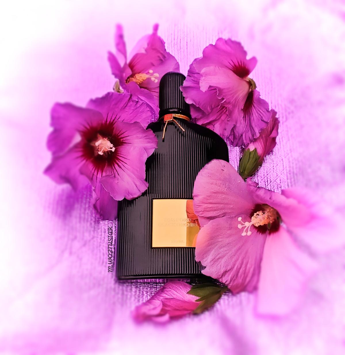 Black Orchid Tom Ford Parfum - ein es Parfum für Frauen 2006