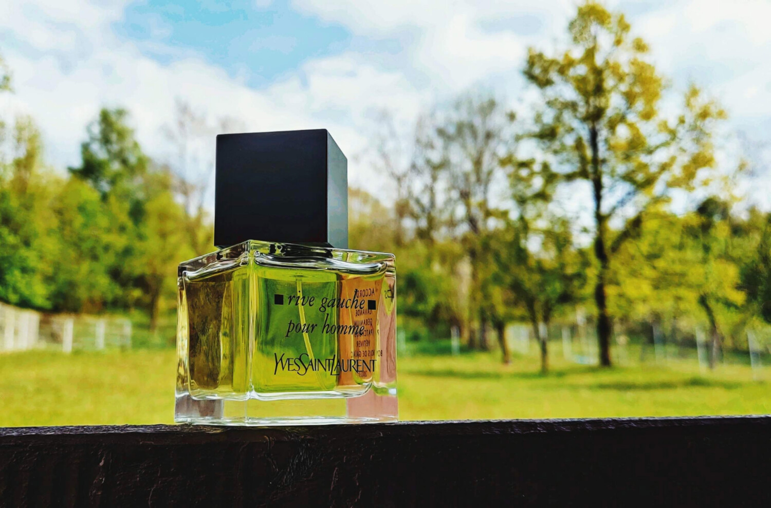La Collection Rive Gauche Pour Homme Yves Saint Laurent Colônia - a