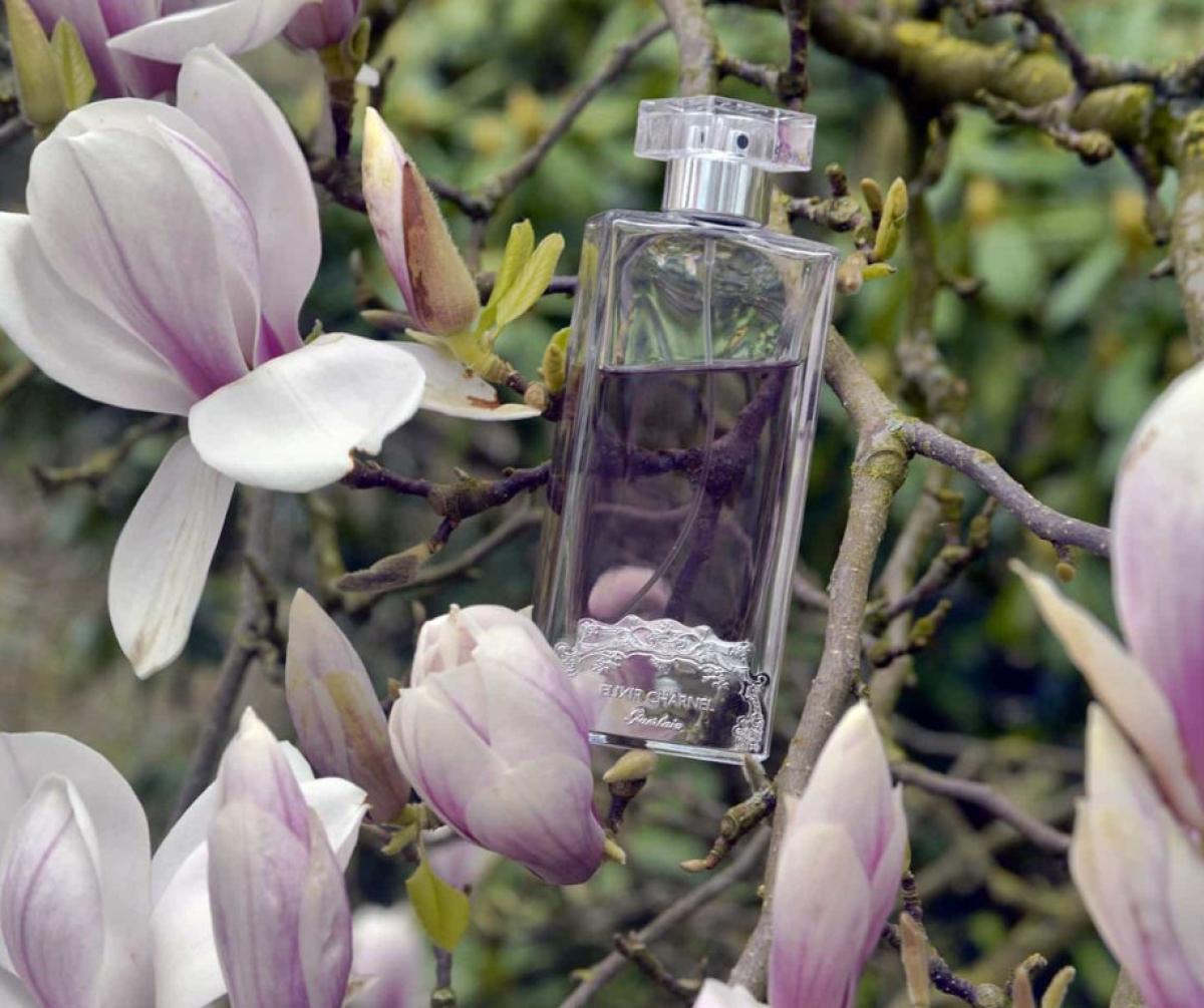 Elixir Charnel Chypre Fatal Guerlain fragancia una fragancia para