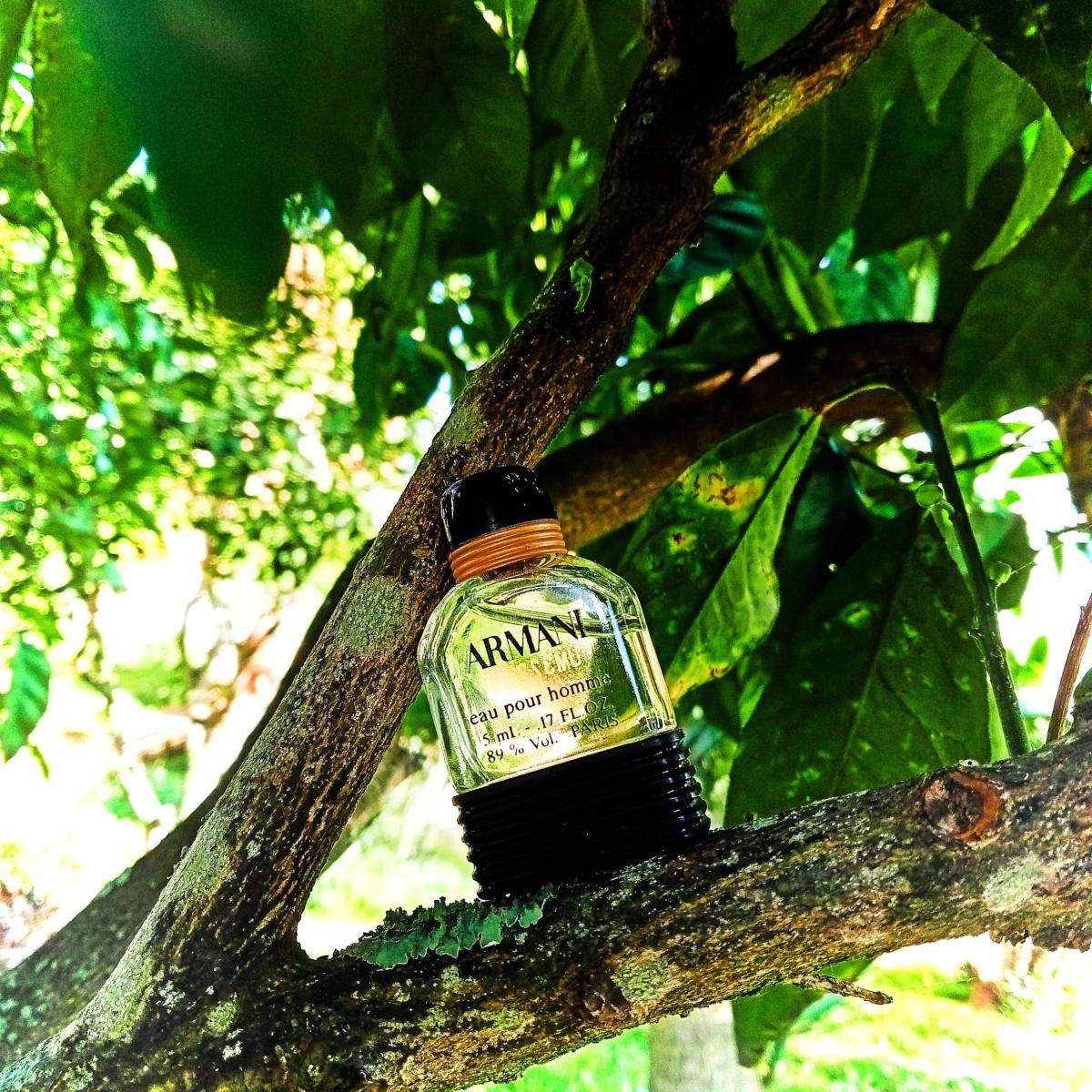 Armani Eau Pour Homme Giorgio Armani Cologne - ein es Parfum für Männer ...