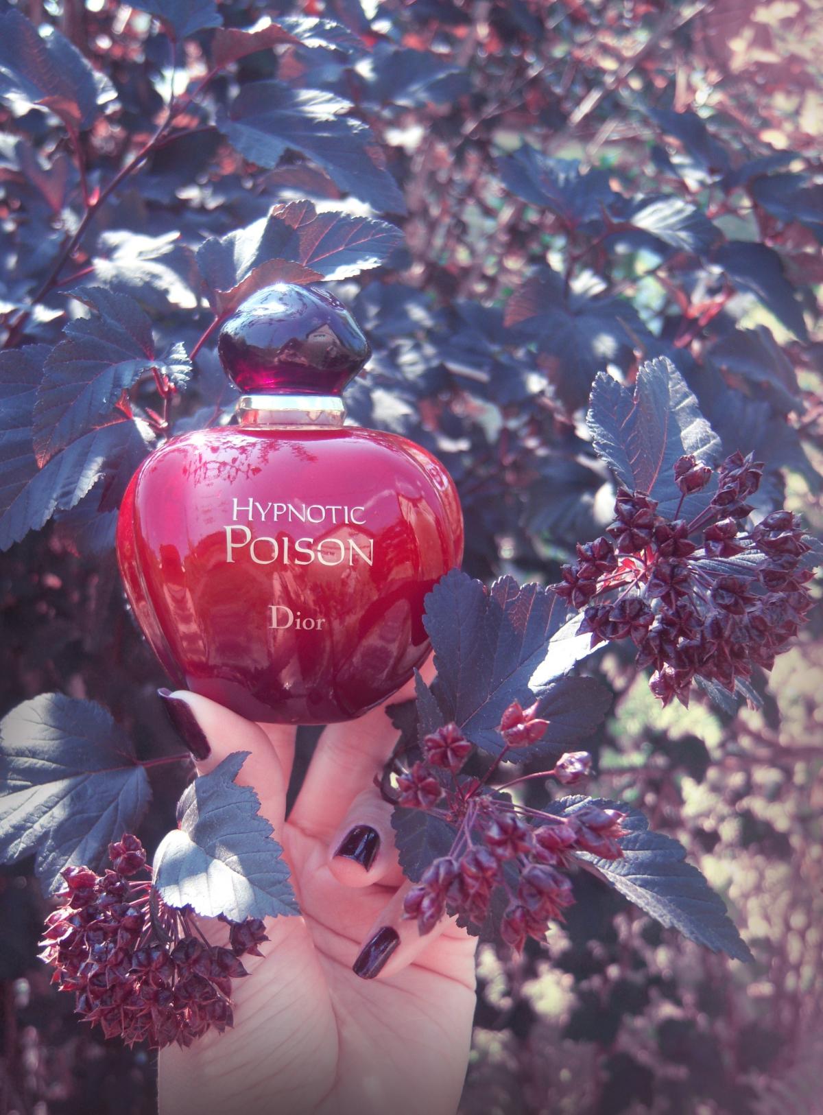 Hypnotic Poison Dior аромат — аромат для женщин 1998