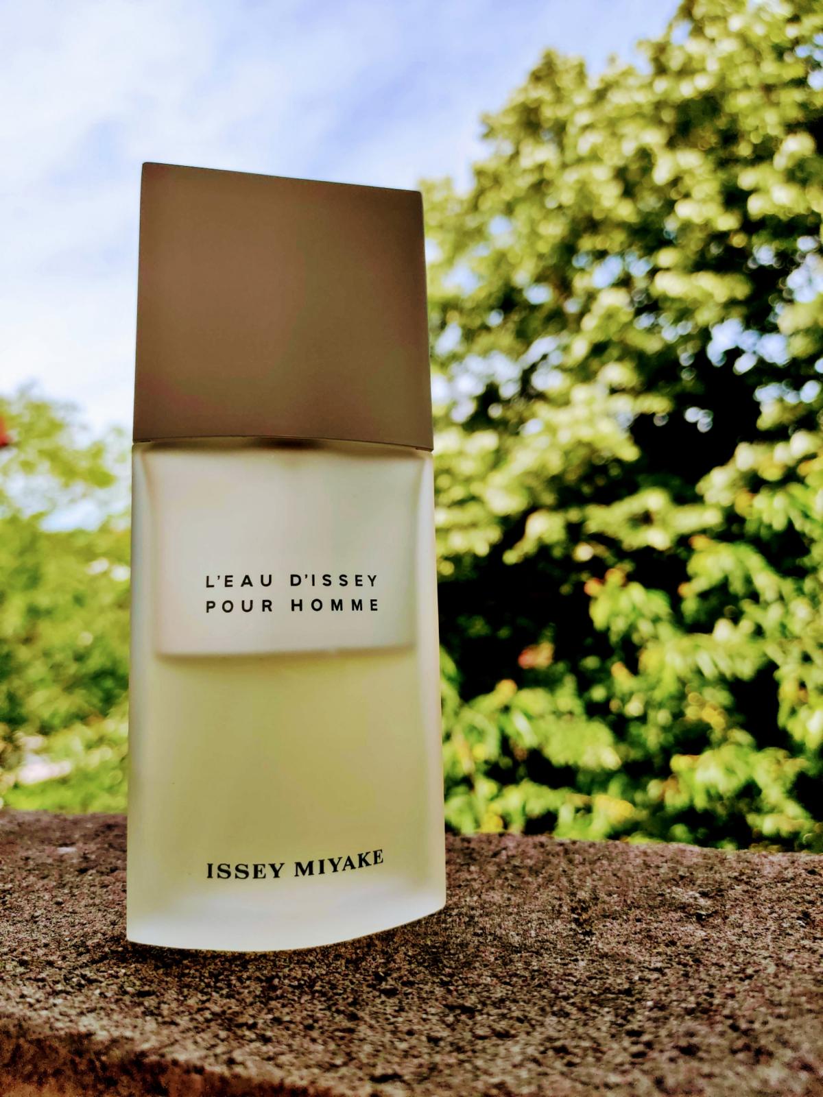 Eau d issey pour homme. Issey Miyake l'Eau d'Issey. Issey Miyake l'Eau d'Issey pour. L'Eau d'Issey pour homme Issey. L'Eau d'Issey homme от Issey Miyake.