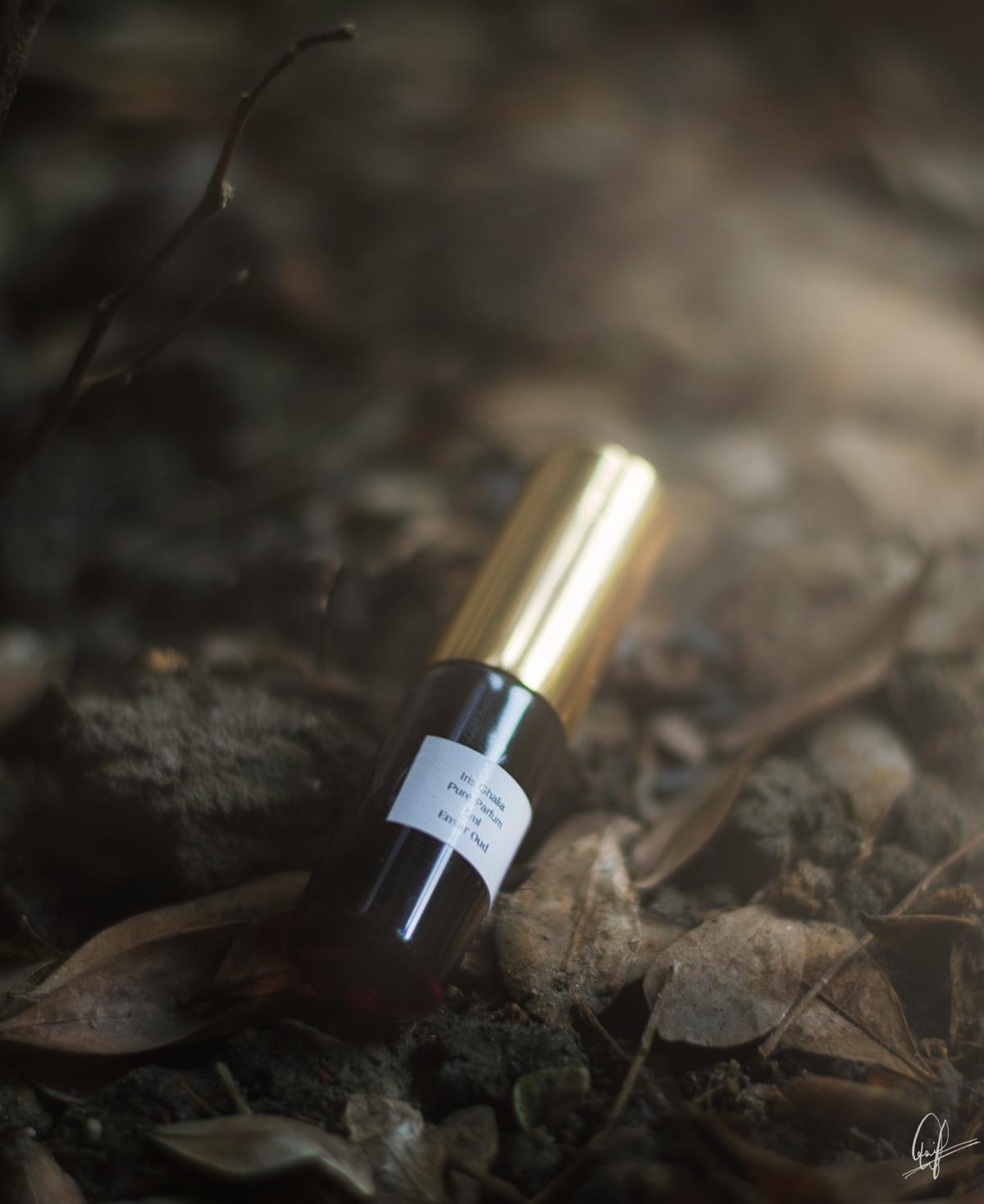 Iris Ghalia Ensar Oud perfume a fragrância Compartilhável 2019