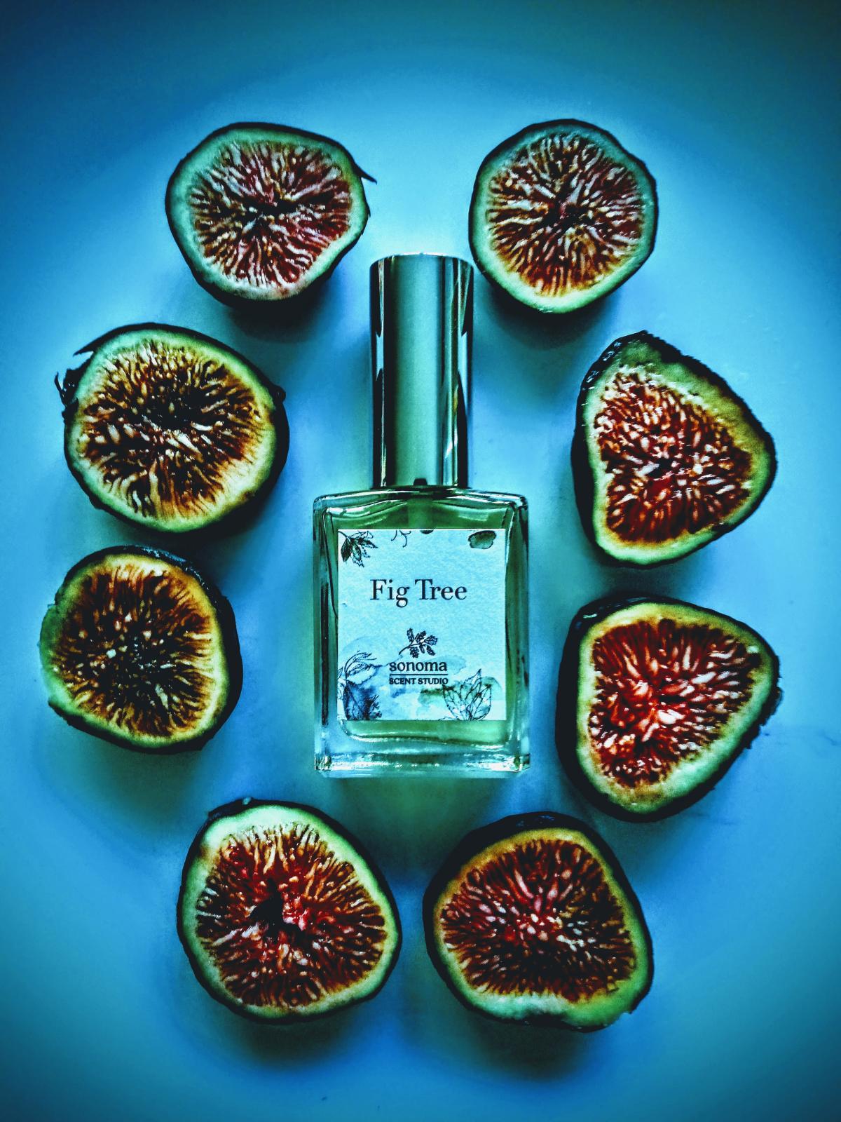Fig Tree Sonoma Scent Studio parfum un parfum pour homme et femme 2011