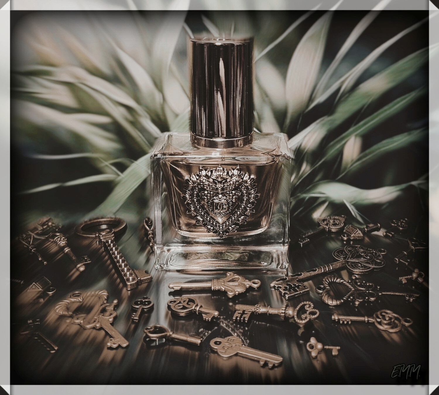 Devotion Dolce&Gabbana perfumy - to nowe perfumy dla kobiet 2023