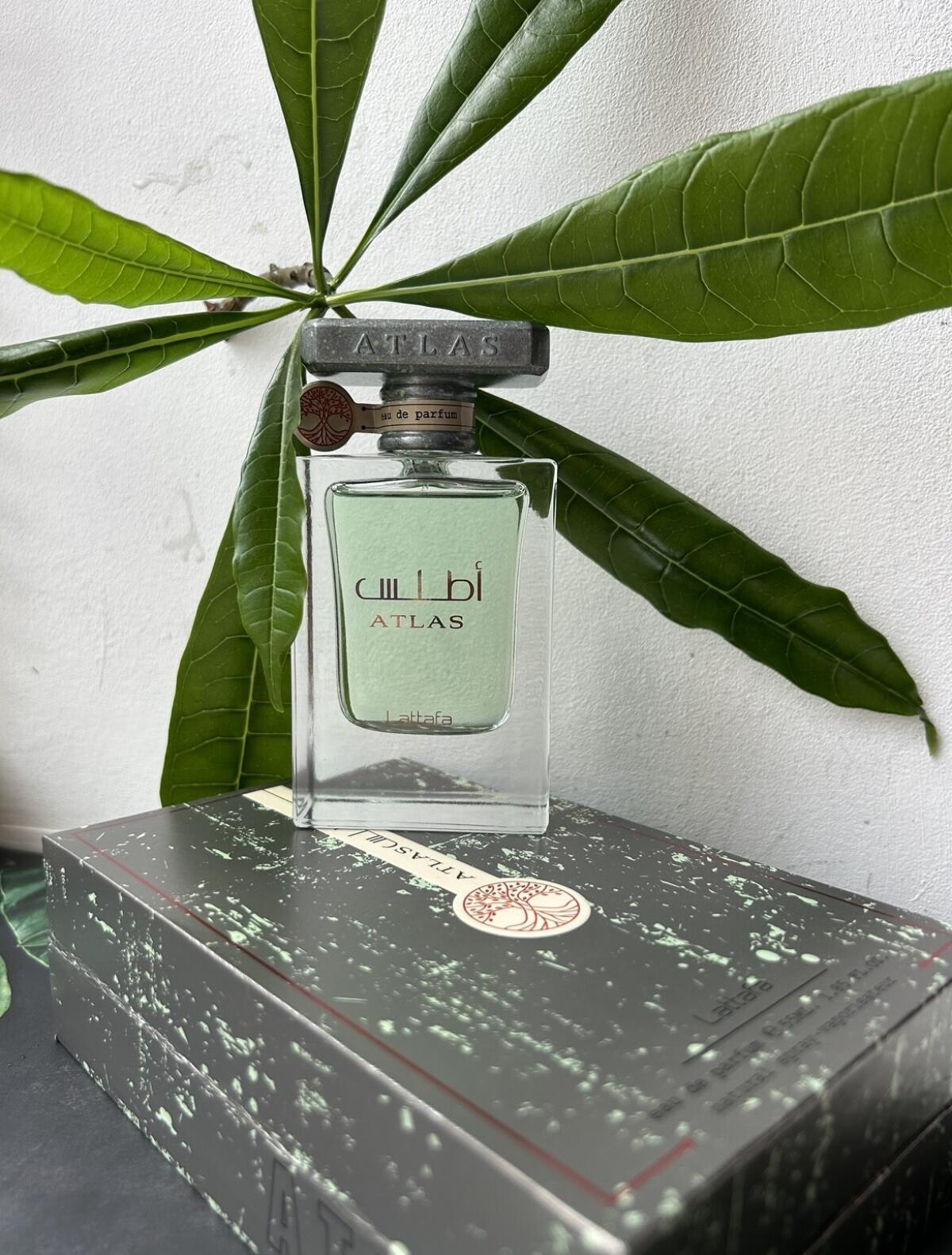 Atlas Lattafa Perfumes Parfum - ein neues Parfum für Frauen und Männer 2024