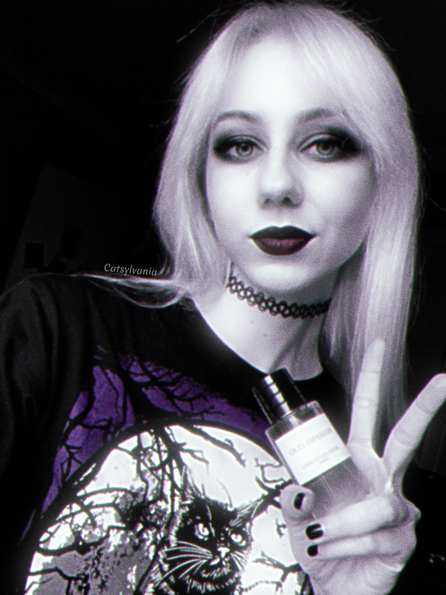 Oud Ispahan Dior parfum un parfum pour homme et femme 2012