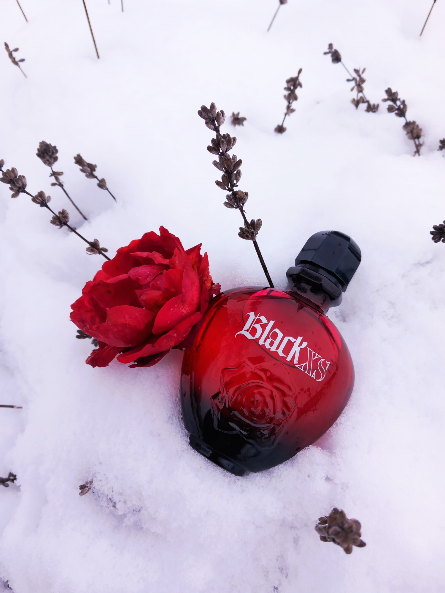 perfume black xs dama