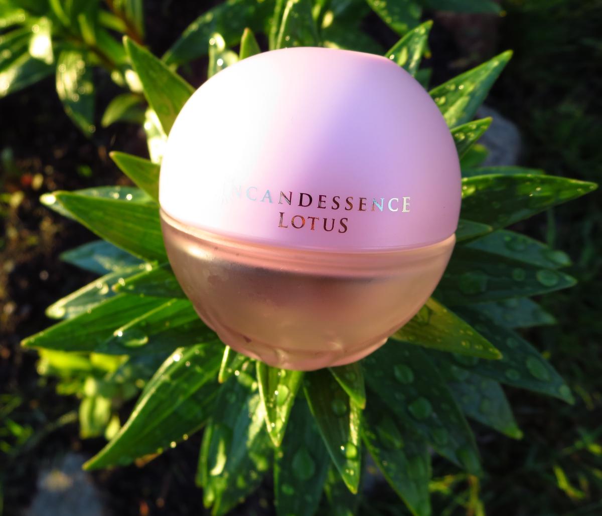 Avon lotus. Incandessence Lotus. Avon Incandessence Lotus. Духи Incandessence Lotus. Эйвон инканденс Лотос.