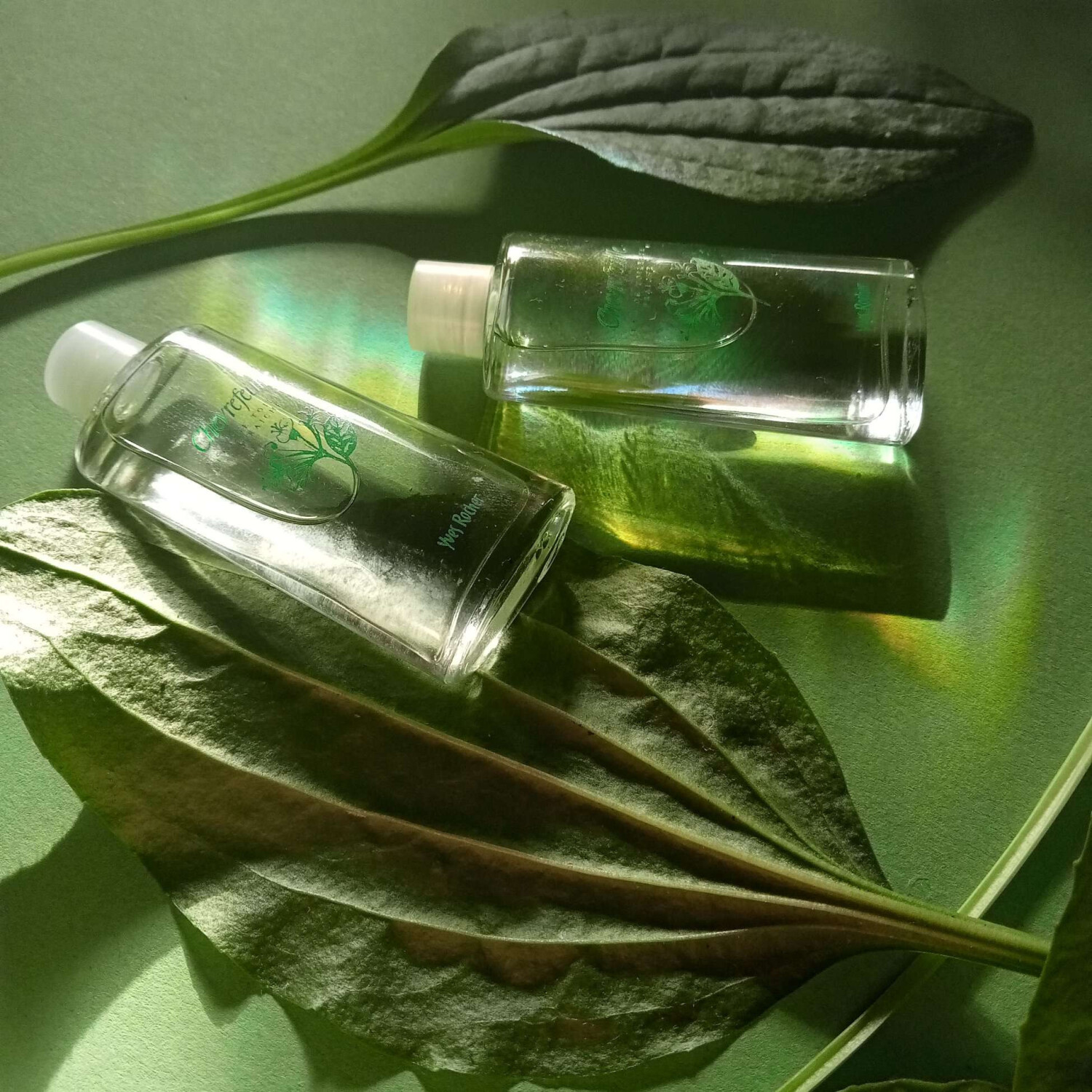Parfum Yves Rocher Muguet Des Bois & Chèvrefeuille - 125 Ml - Neuf Avec Léger Défaut