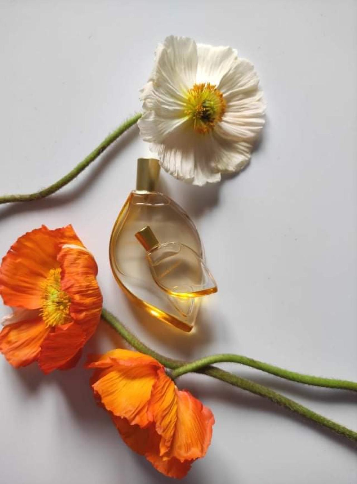 Summer by Kenzo Kenzo аромат — аромат для женщин 2005