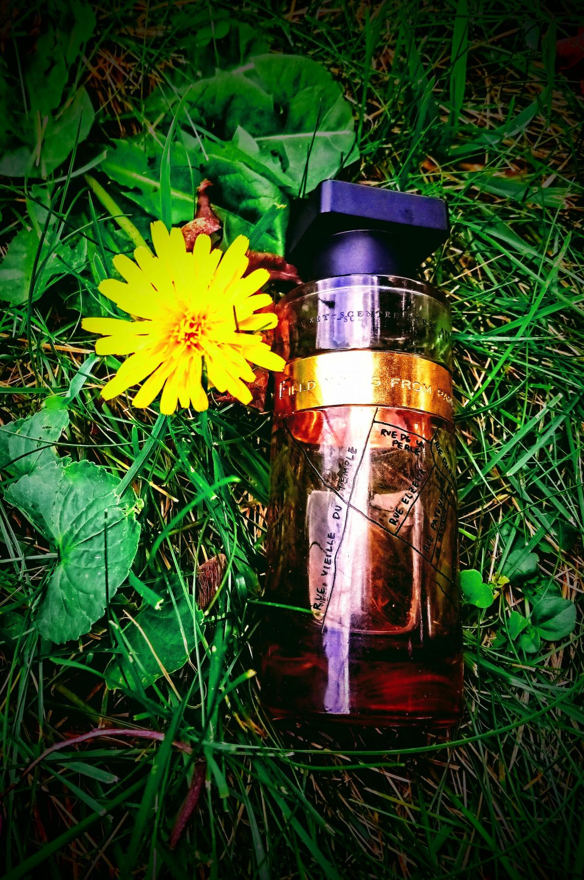 Field Notes From Paris Ineke аромат — аромат для мужчин и женщин 2009