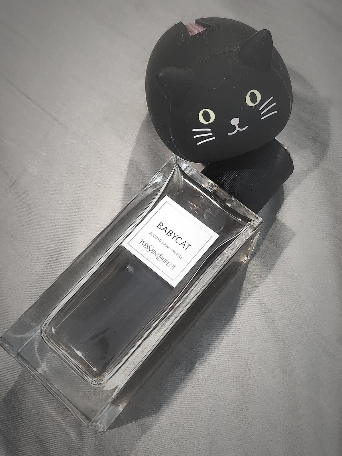 Babycat Yves Saint Laurent - una novità fragranza unisex 2022