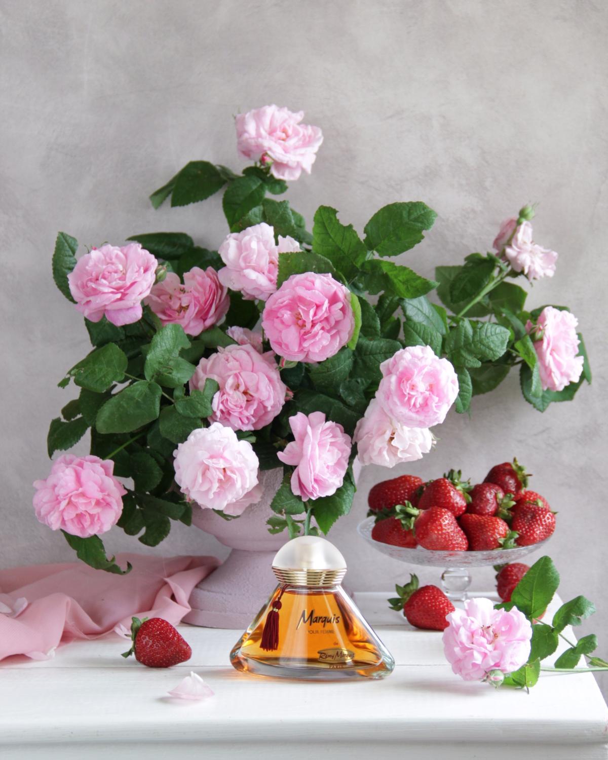 Marquis Remy Marquis parfum - un parfum pour femme 1999
