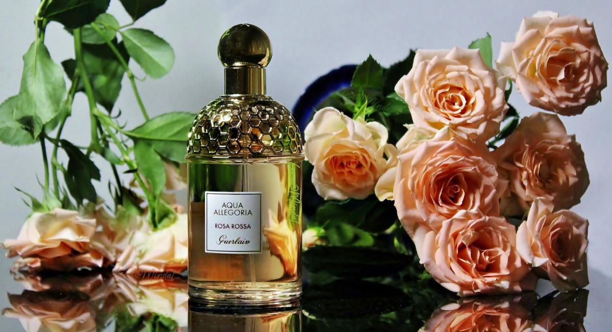 aqua allegoria rosa rossa guerlain